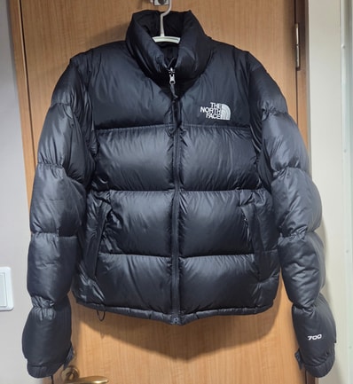 The North Face 1996 Retro Nuptse Jacket "Black"