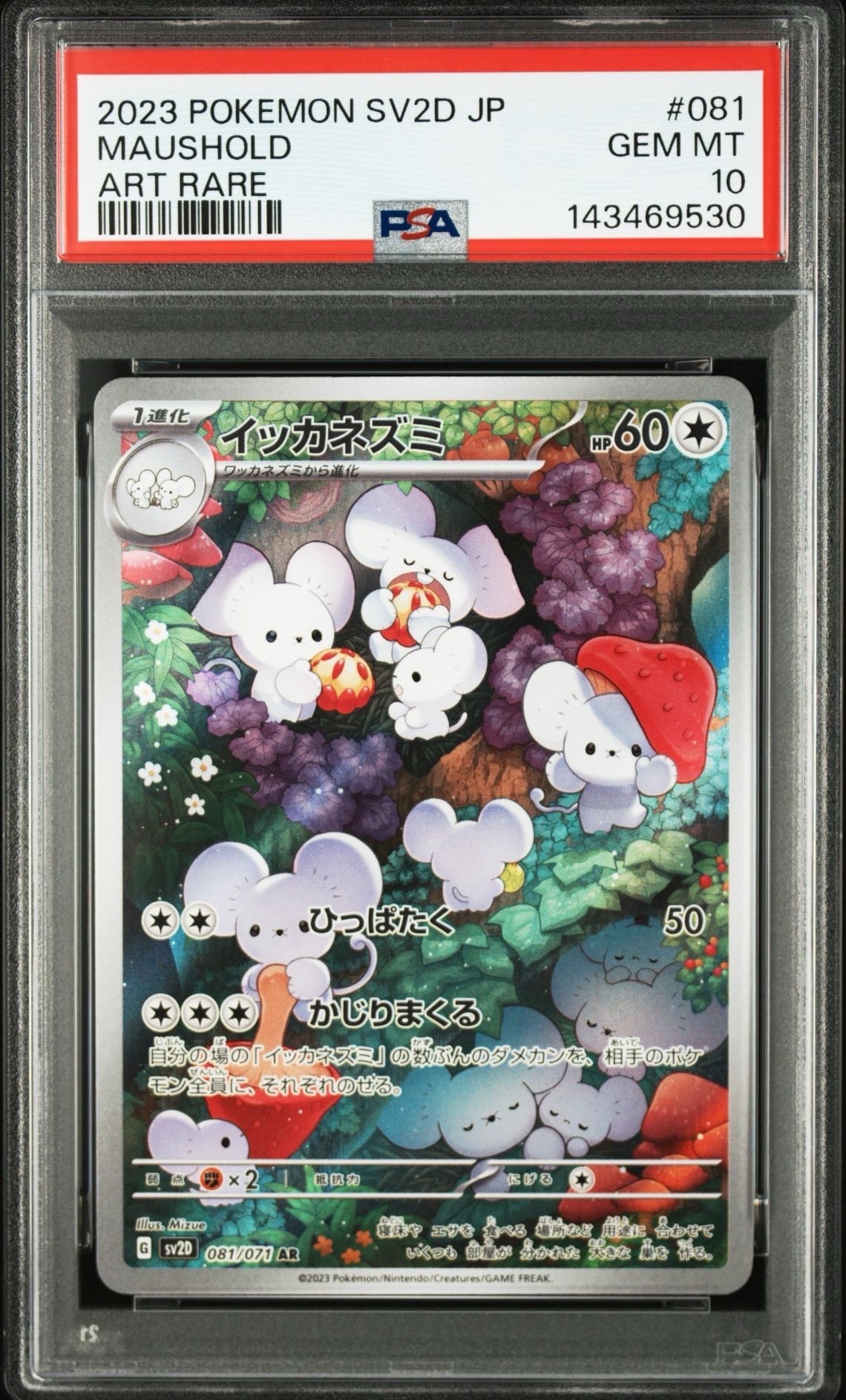 イッカネズミ AR[SV2D 081/071](拡張パック「クレイバースト」)の新品