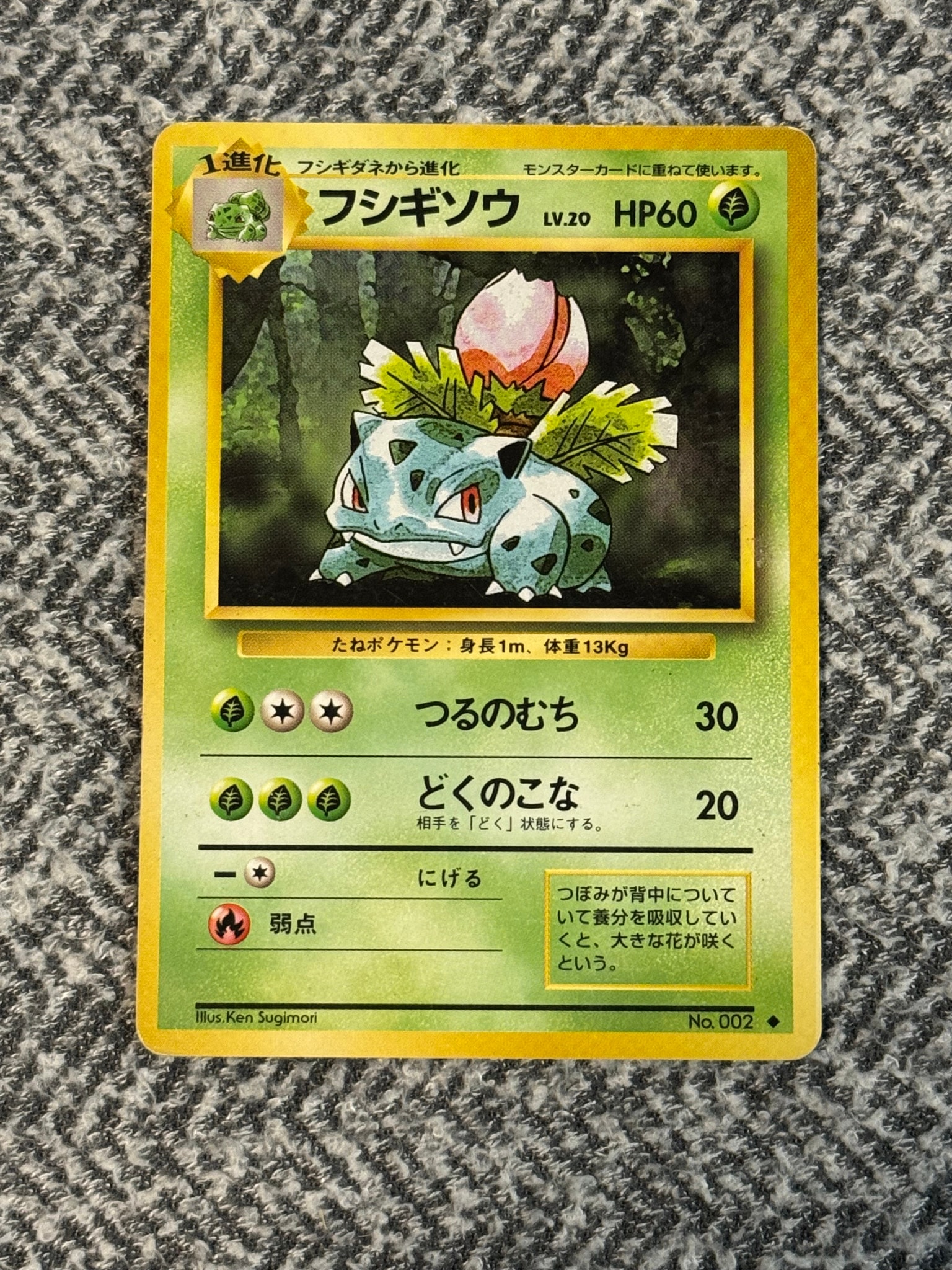 フシギソウ ◆ : 旧裏 [PMCG1-2](拡張パック「ポケットモンスター カードゲーム」再販)