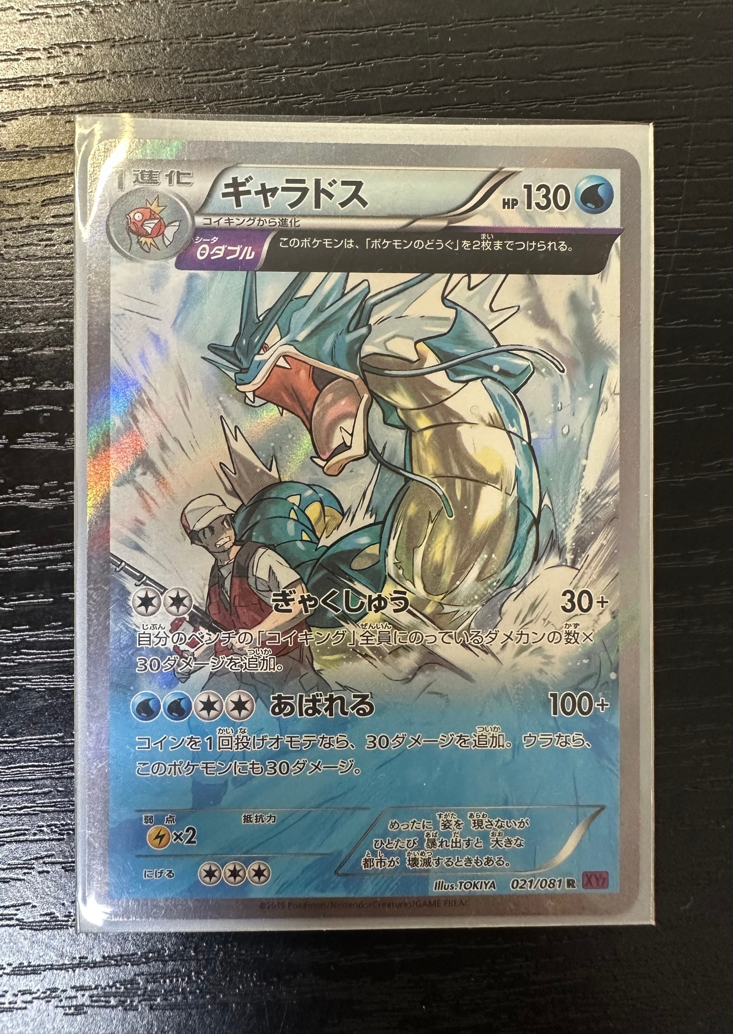 PSA10】ギャラドス R :1ED [XY7 021/081](拡張パック「バンデット
