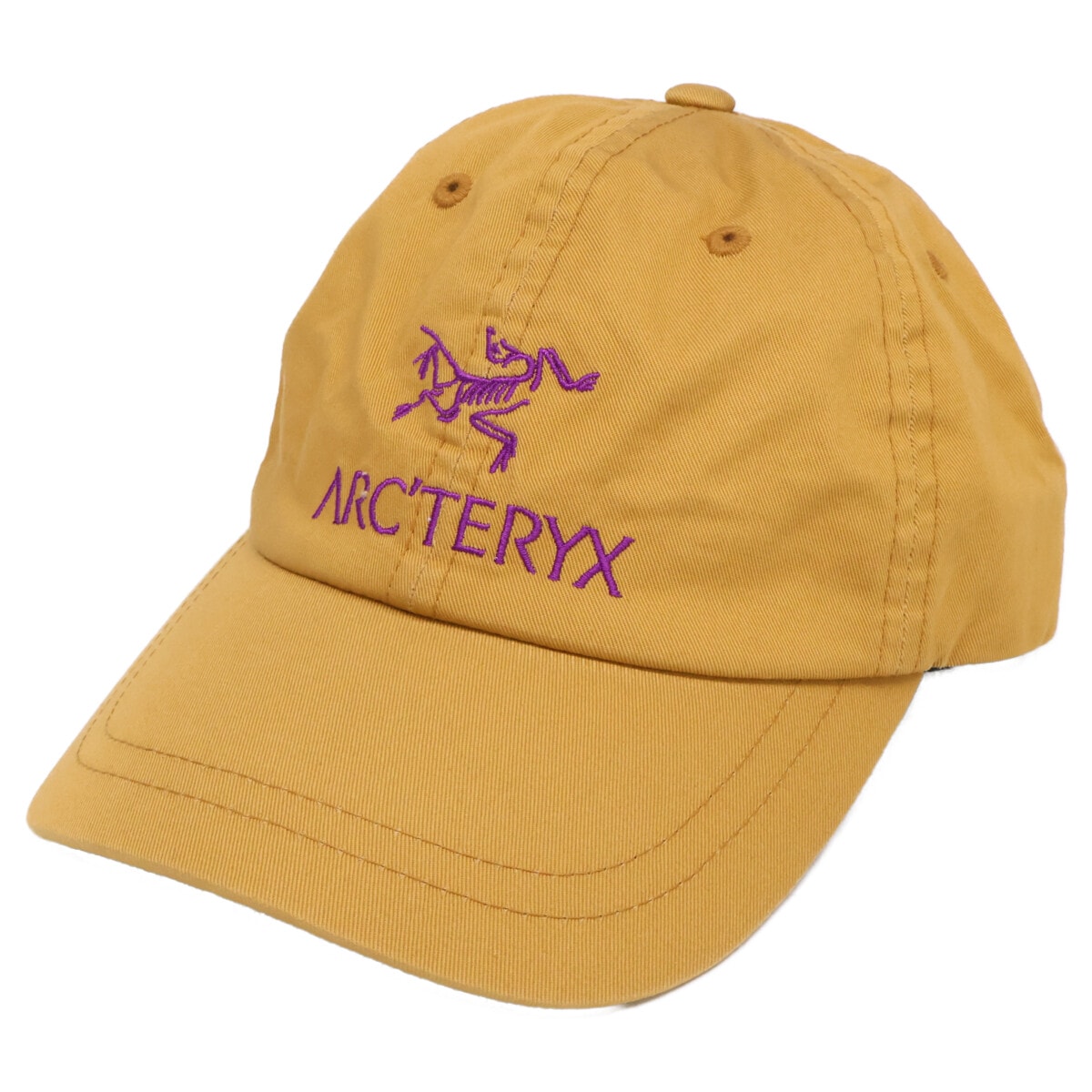 アークテリクス x PALACE SKATEBOARDS パレススケートボード 6-PANEL キャップ