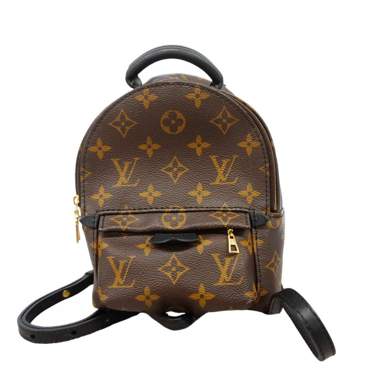 Louis Vuitton Palm Springs Mini Monogram