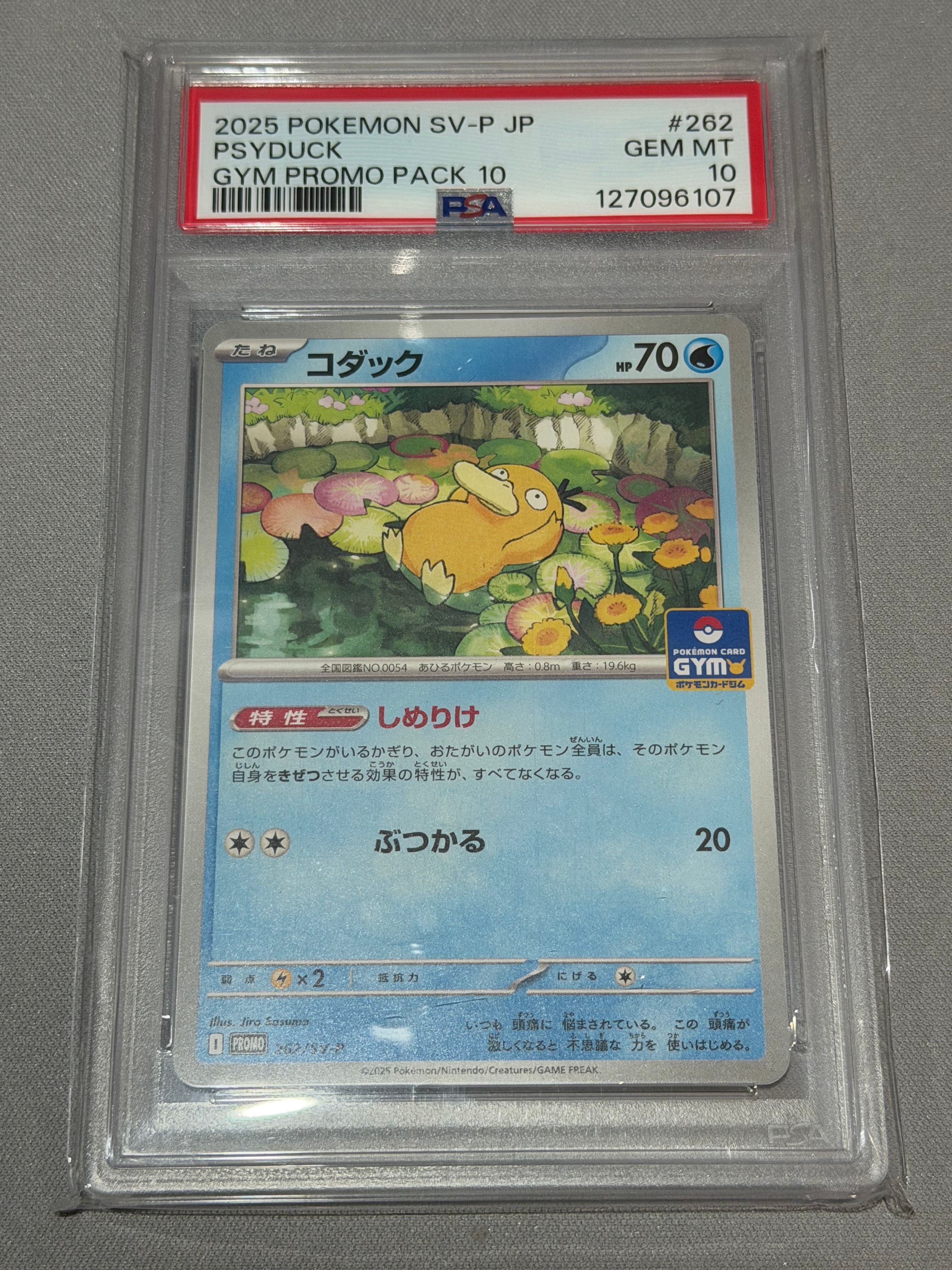 コダック P [SV-P 262](プロモカードパック「第10弾」)の新品/中古