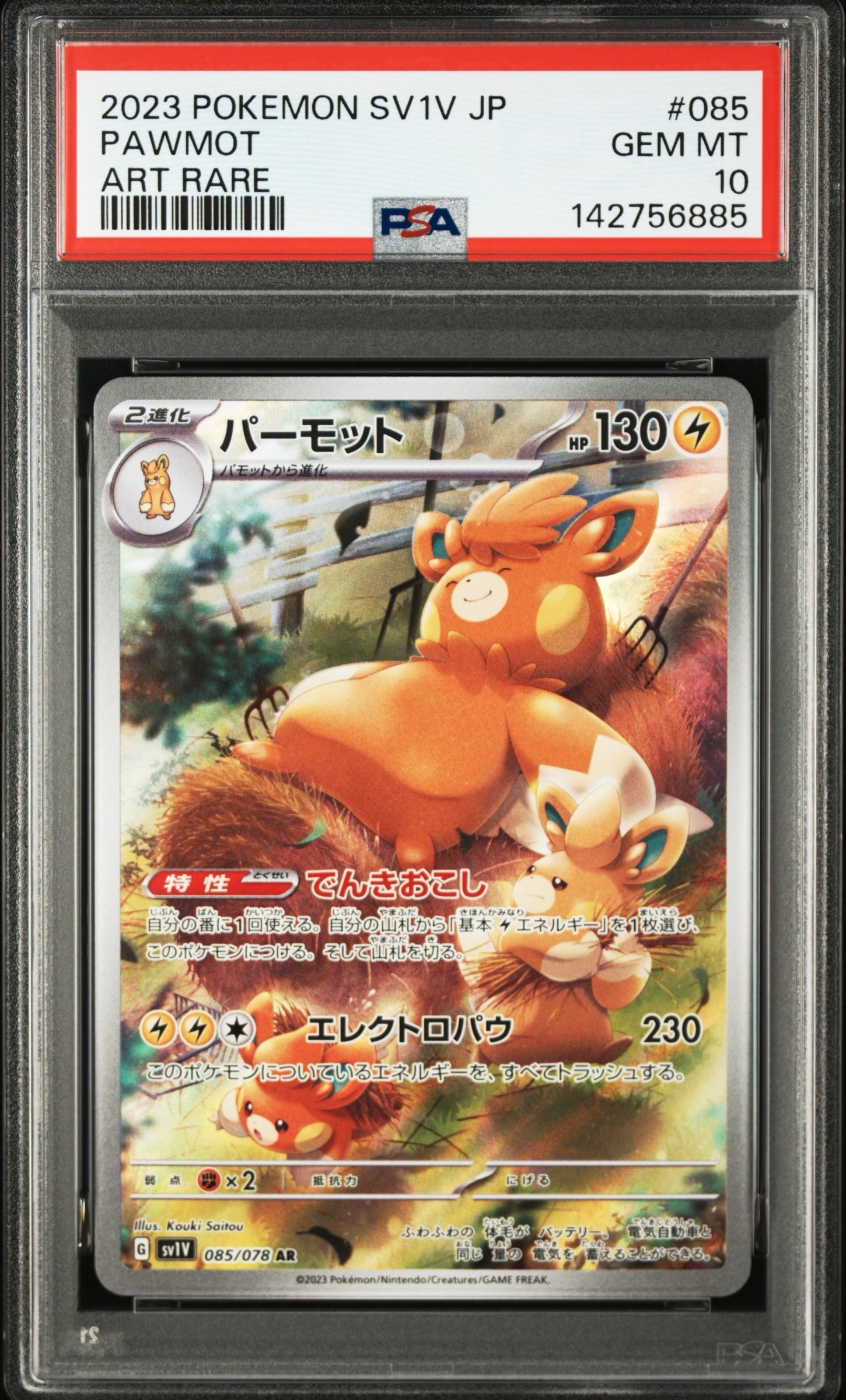 ヒロシマのピカチュウ P [SV-P 261](スペシャルBOX「ポケモンセンター
