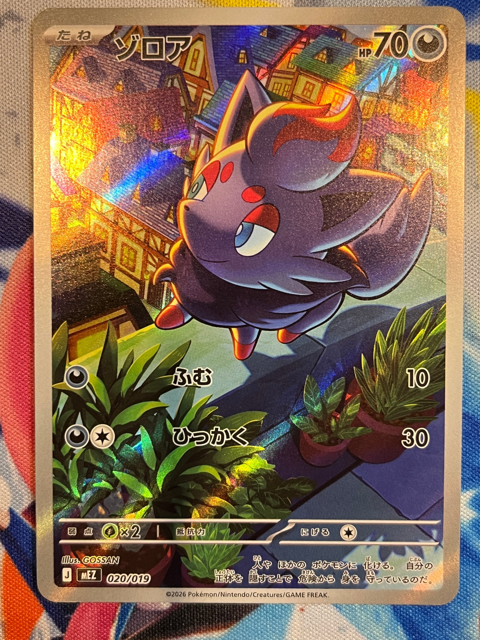 ゾロア AR仕様 [MEZ 020/019](スターターセットex「ゾロア&ゾロアーク