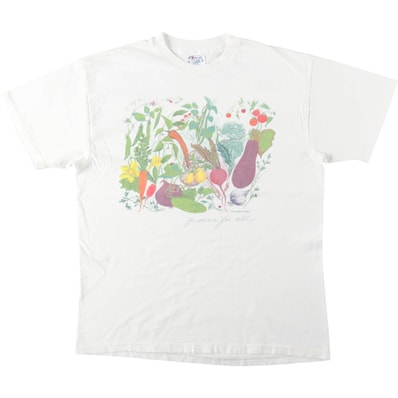 古着 90年代 ヘインズ Hanes BEEFY-T プリントTシャツ USA製 メンズL相当 ヴィンテージ/eaa644482