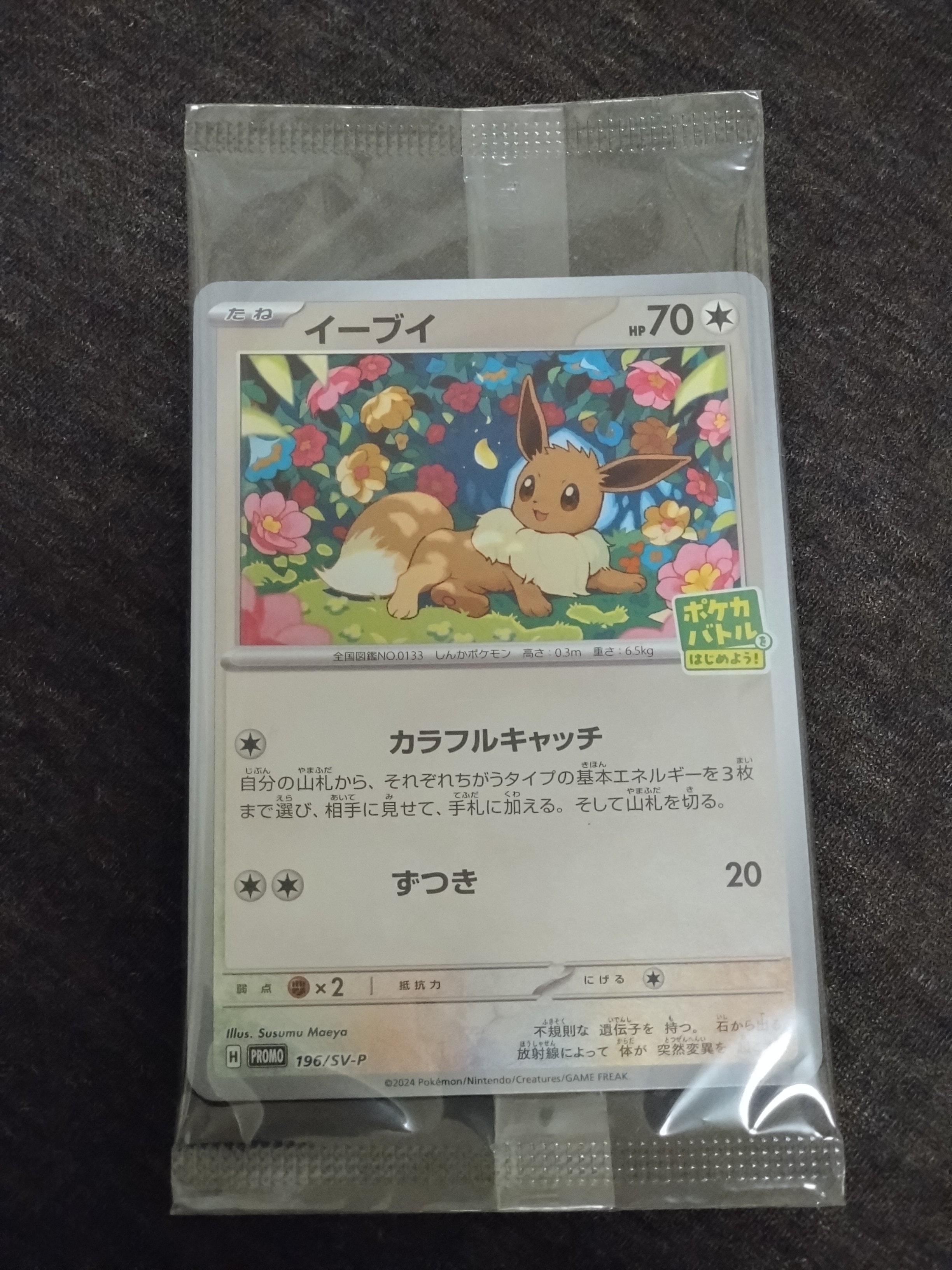 イーブイ P [SV-P-SM 196](プロモカードパック「ポケカバトルをはじめよう!キャンペーン」)