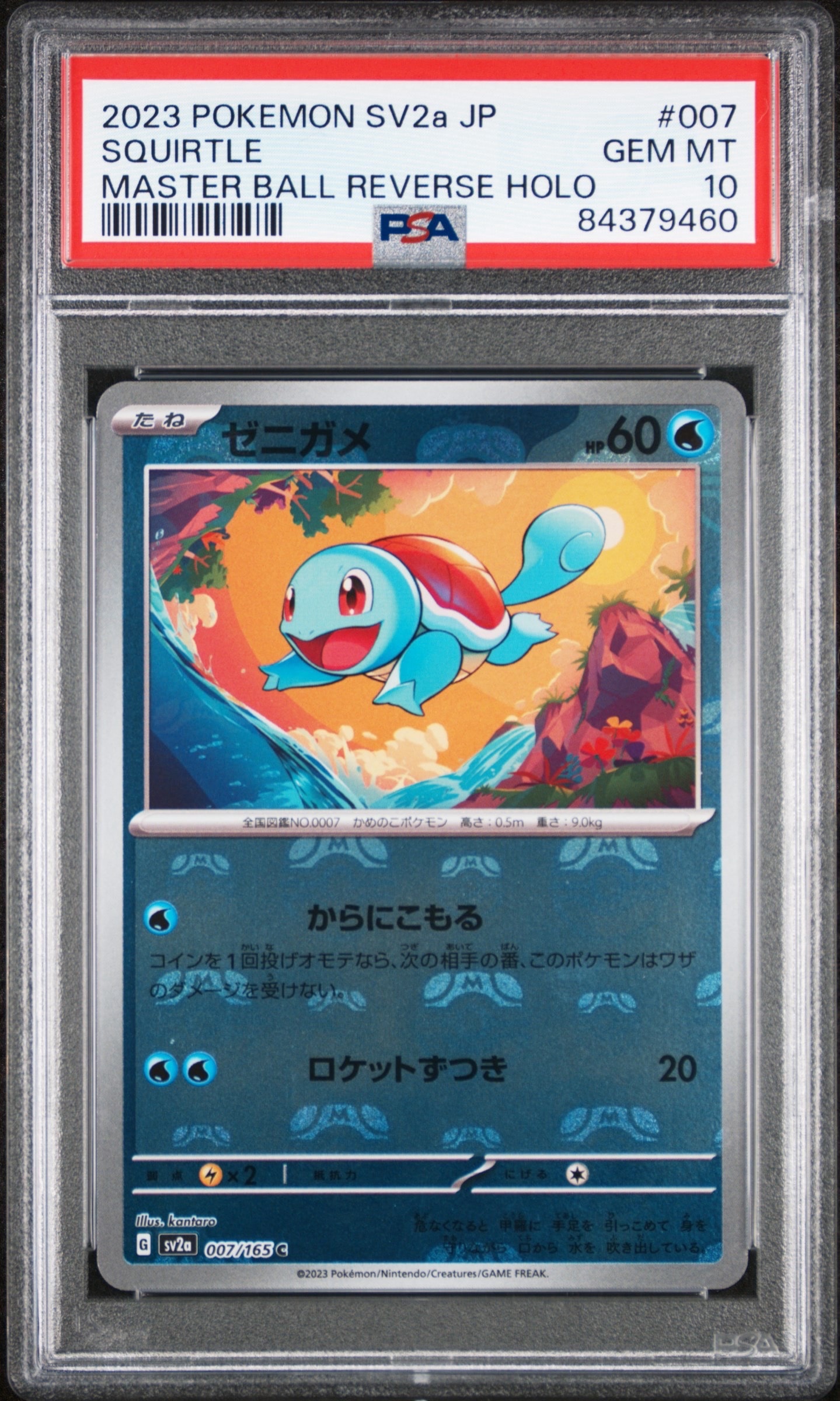 ゼニガメ C: マスターボールミラー[SV2a 007/165](強化拡張パック「ポケモンカード151」)