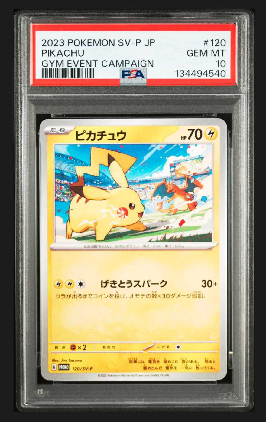 ピカチュウ: プロモ [SV-P 120](プロモーションカード「SV-P」)