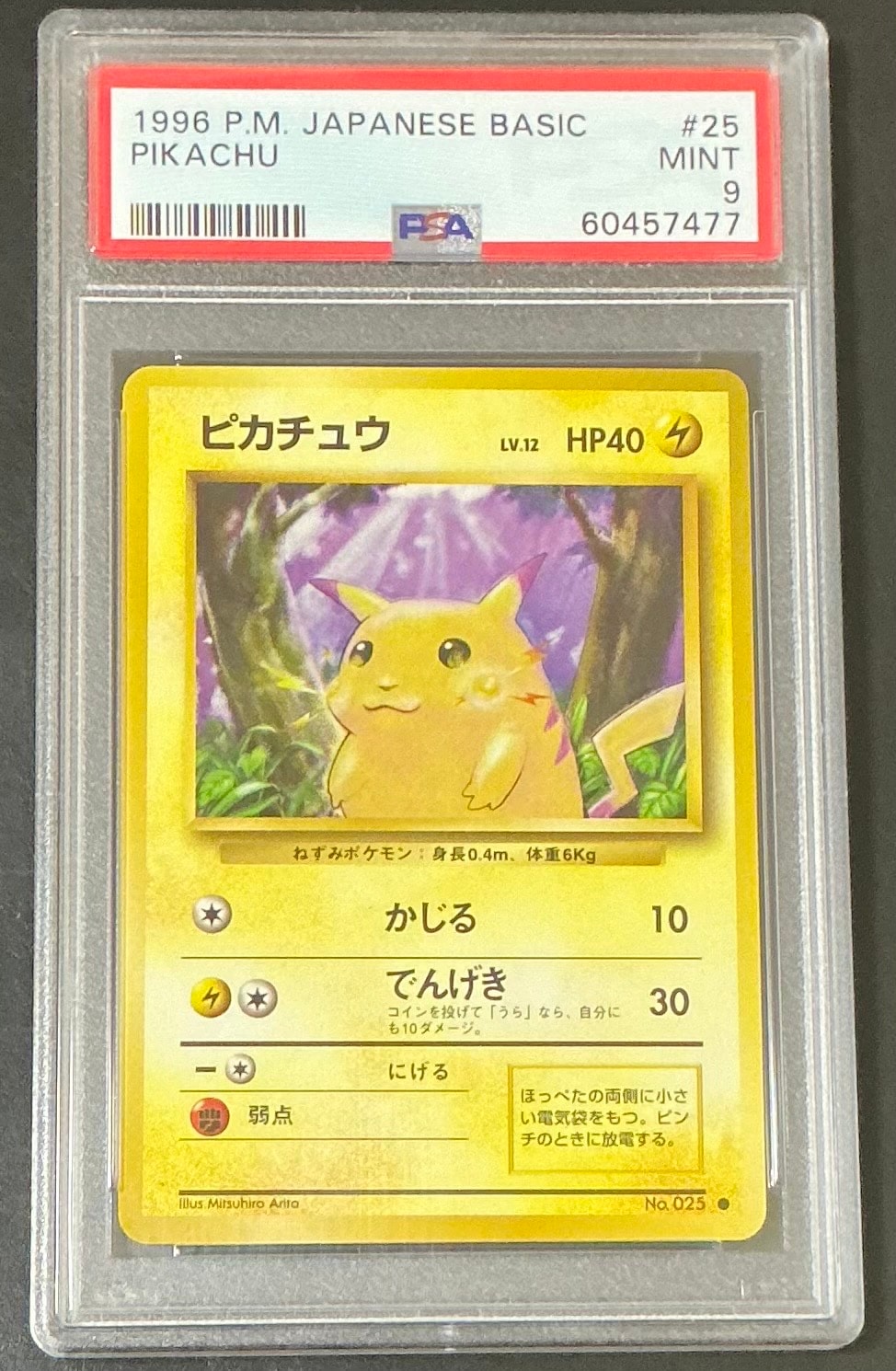 ピカチュウ ● : 旧裏 [PMCG1-2](拡張パック「ポケットモンスター カードゲーム」再販)