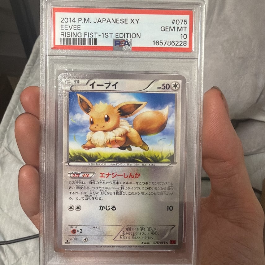 PSA9イーブイ C XY3 ライジングフィスト 075/096 PSA9イーブイ C XY3 PSA9イーブイ C XY3 ライジングフィスト 075/096 PSA9イーブイ C XY3