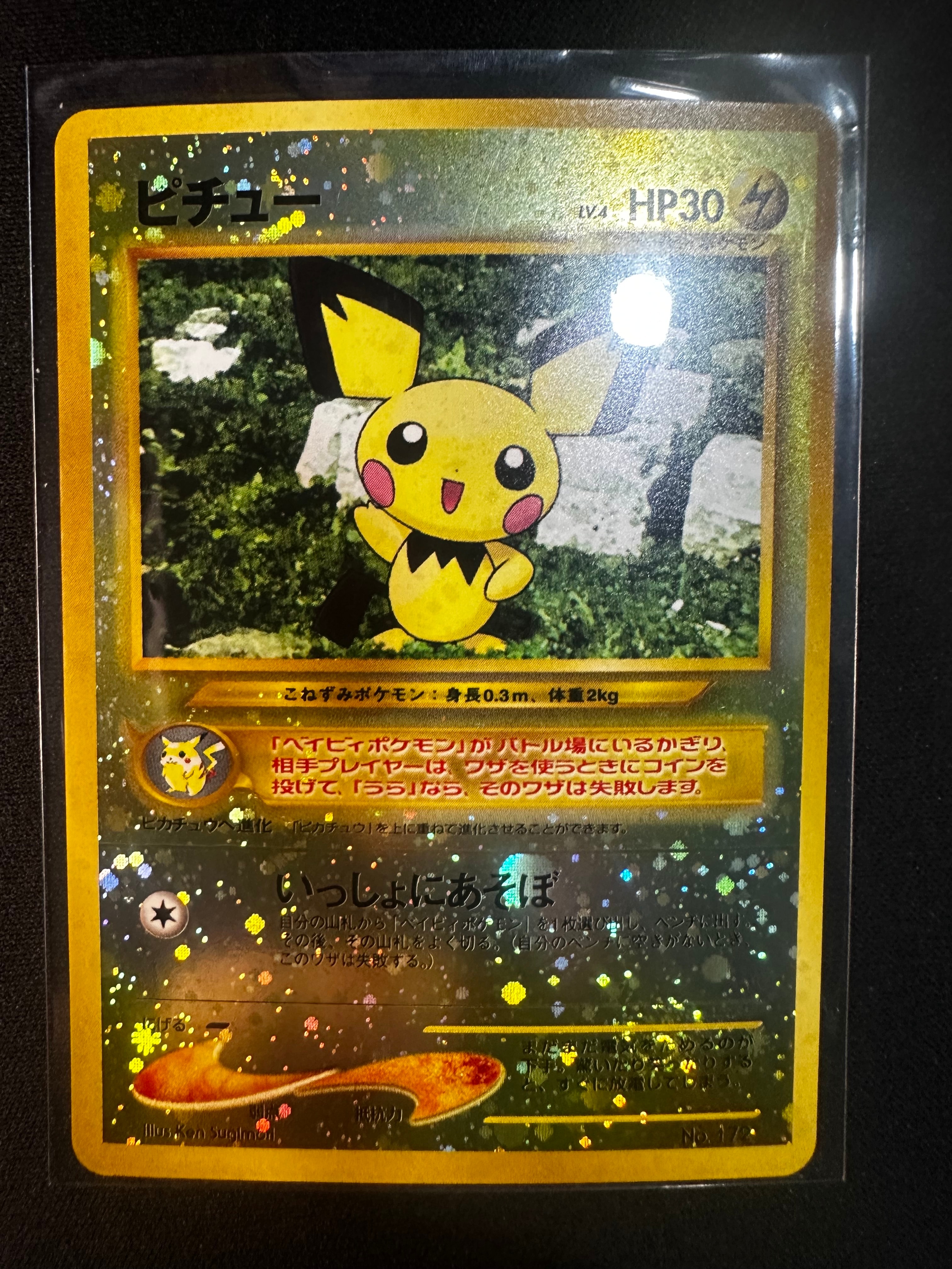 ピチュープレミアムファイル2: 旧裏[neoP2 No.172](プレミアムファイル2)