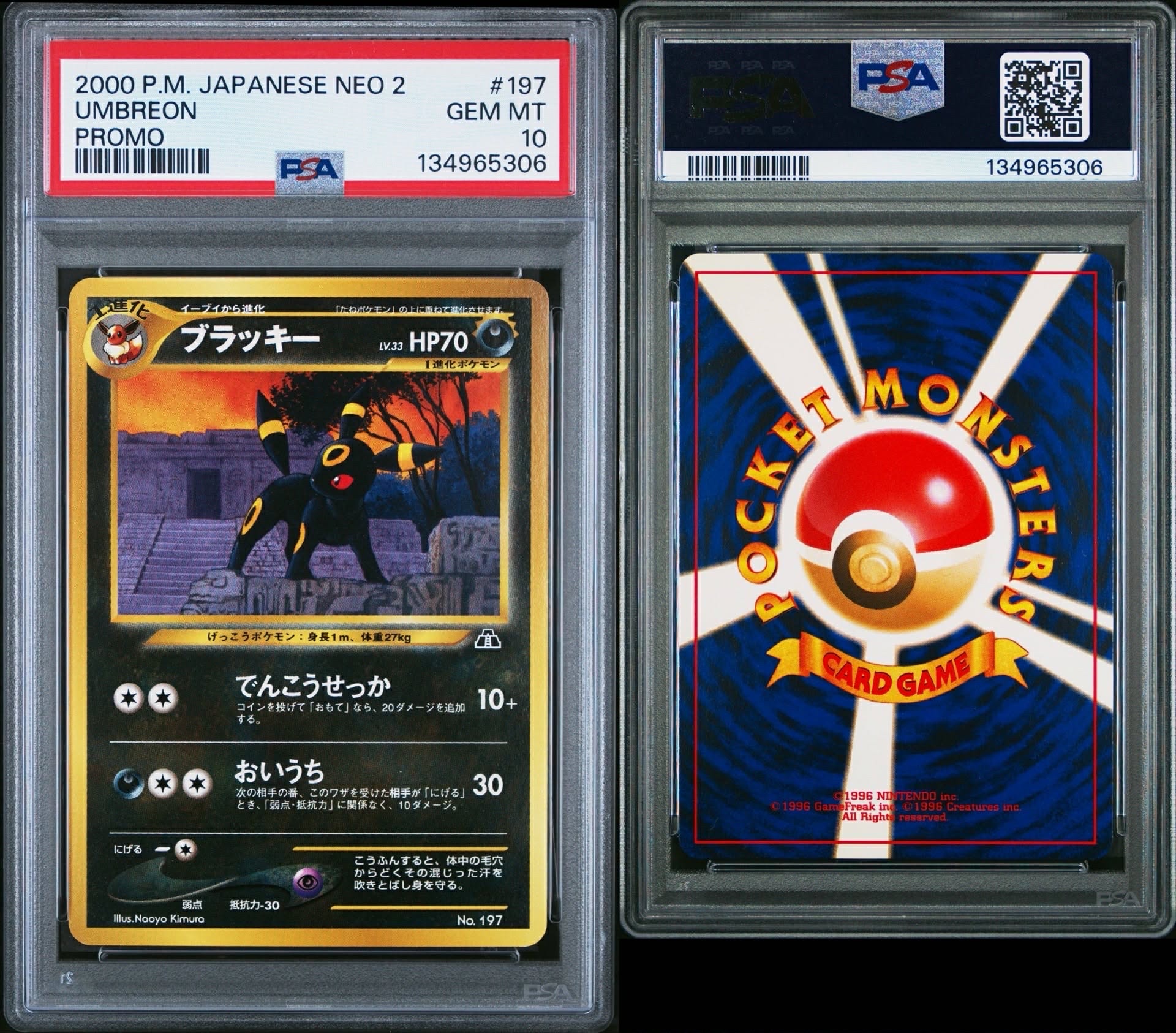 PSA10】ブラッキープレミアムファイル2: 旧裏[neoP2 No.197