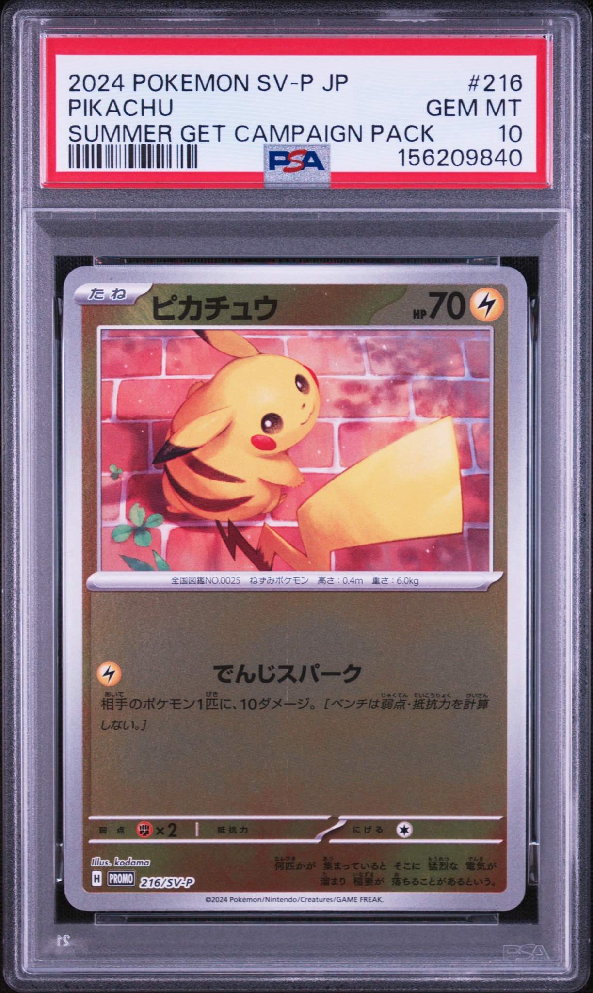 Pikachu - 216/SV-P