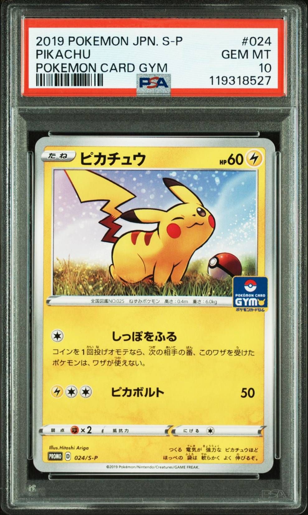 ピカチュウ: プロモ P [S-P 024](ポケモンカードゲーム ソード&シールド 「プロモカードパック 第1弾」)