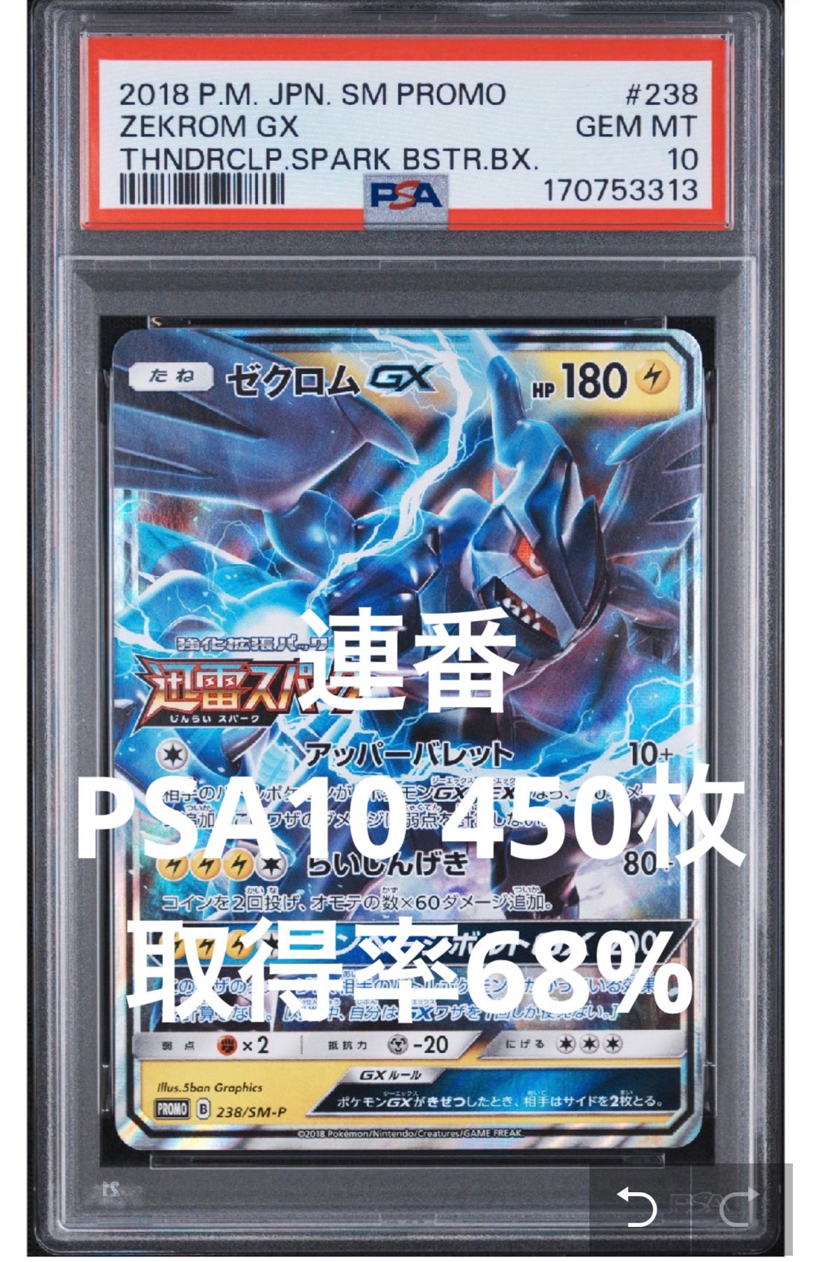 ゼクロムGX: プロモ [SM-P 238](プロモーションカード「SM-P」)