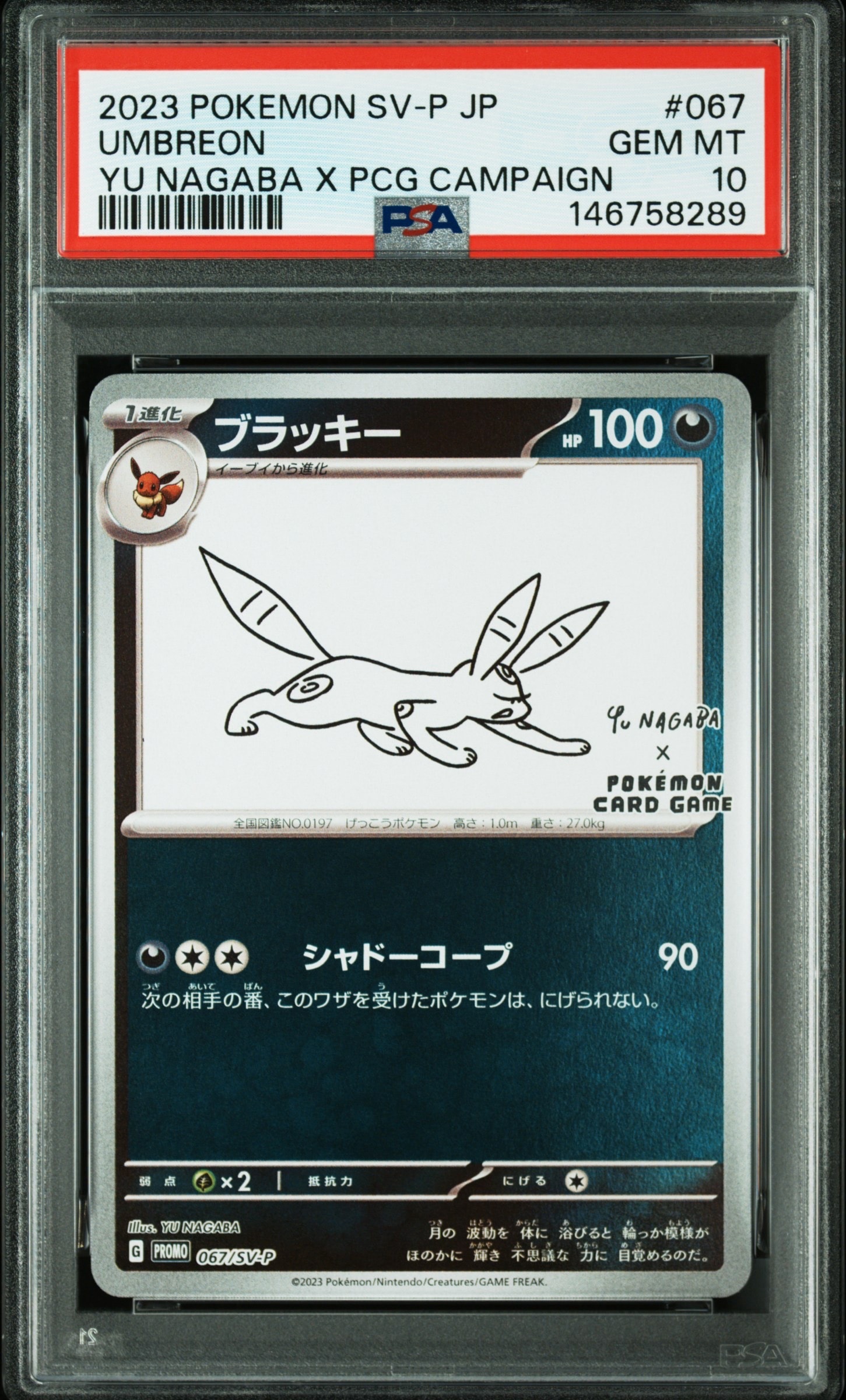 ブラッキー: プロモ (ナガバブラッキー) [SV-P 067](「YU NAGABA×ポケモンカードゲーム」プロモーションカード「SV-P」)