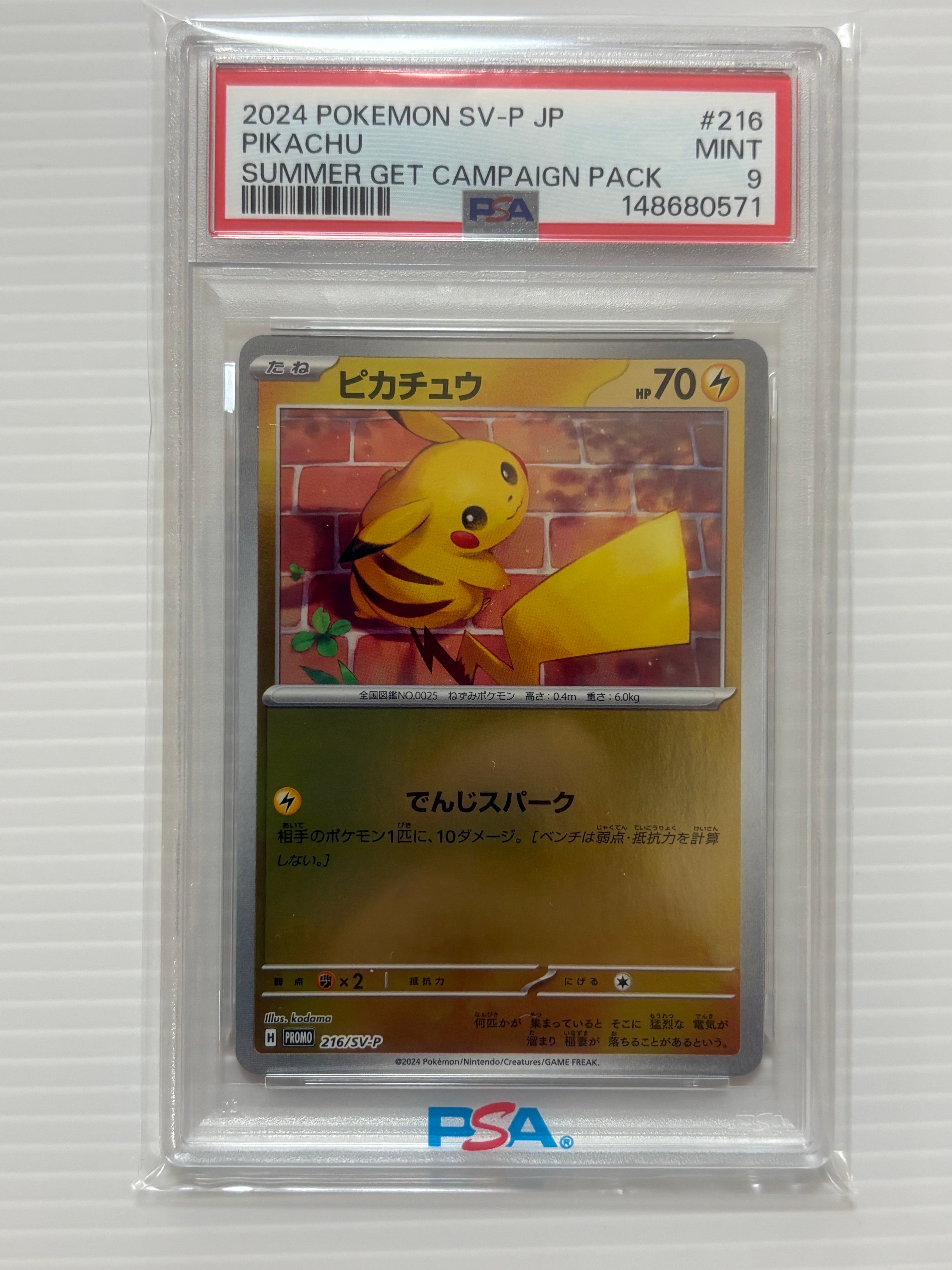 ピカチュウ P [SV-P 216](プロモカードパック「ポケカの夏がキタ