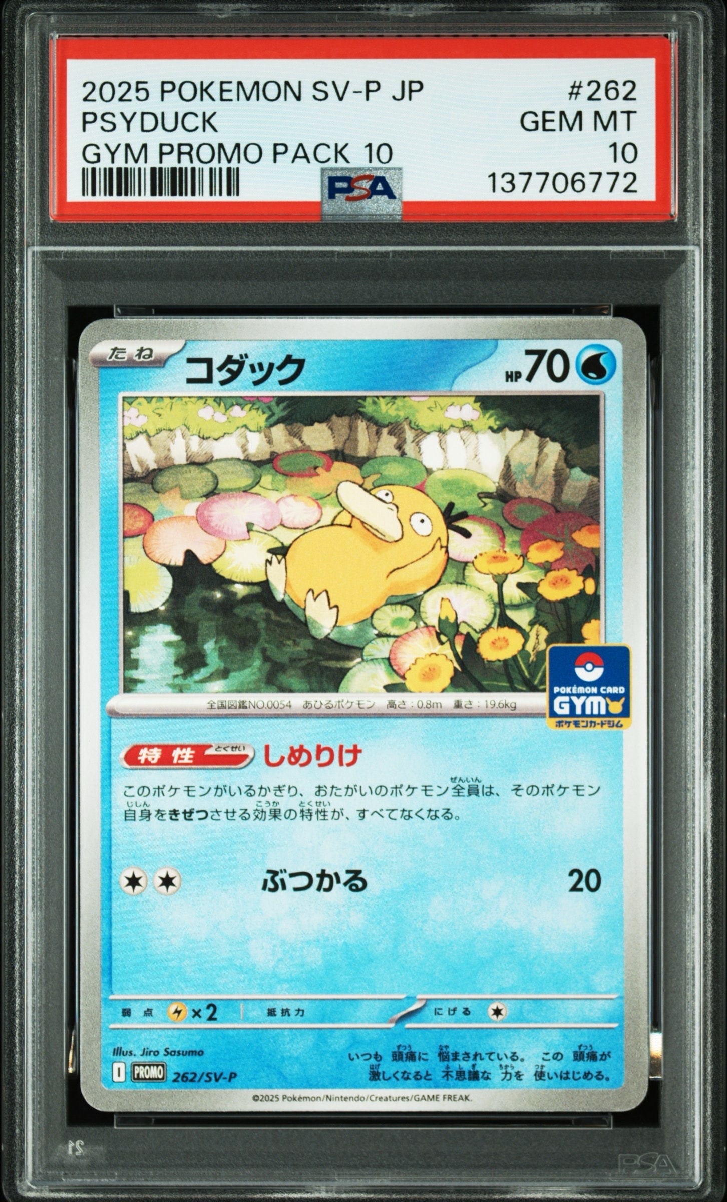 コダック P [SV-P 262](プロモカードパック「第10弾」)の新品/中古
