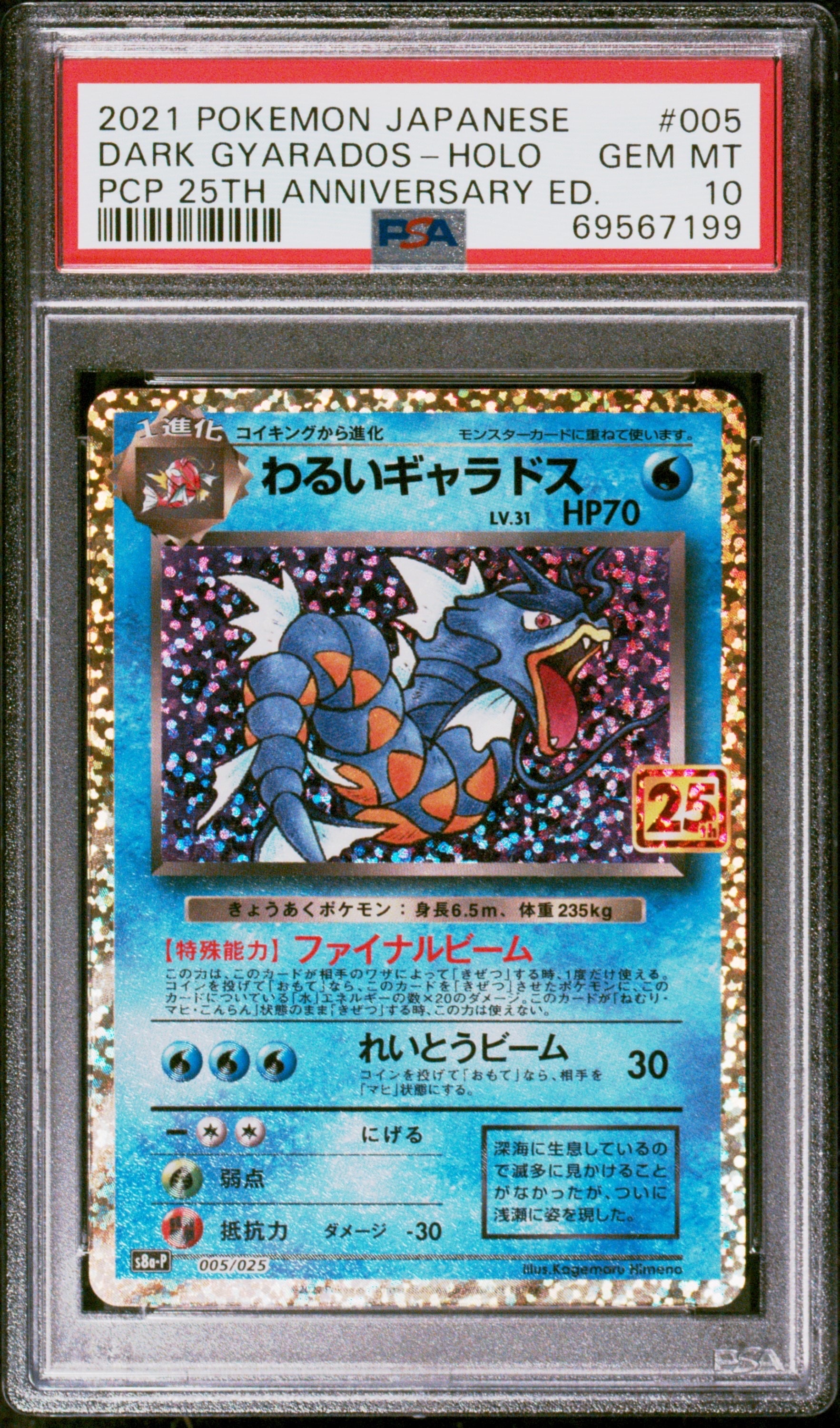 わるいギャラドス: プロモ[S8a-P 005/025](プロモカードパック 25th ANNIVERSARY edition)