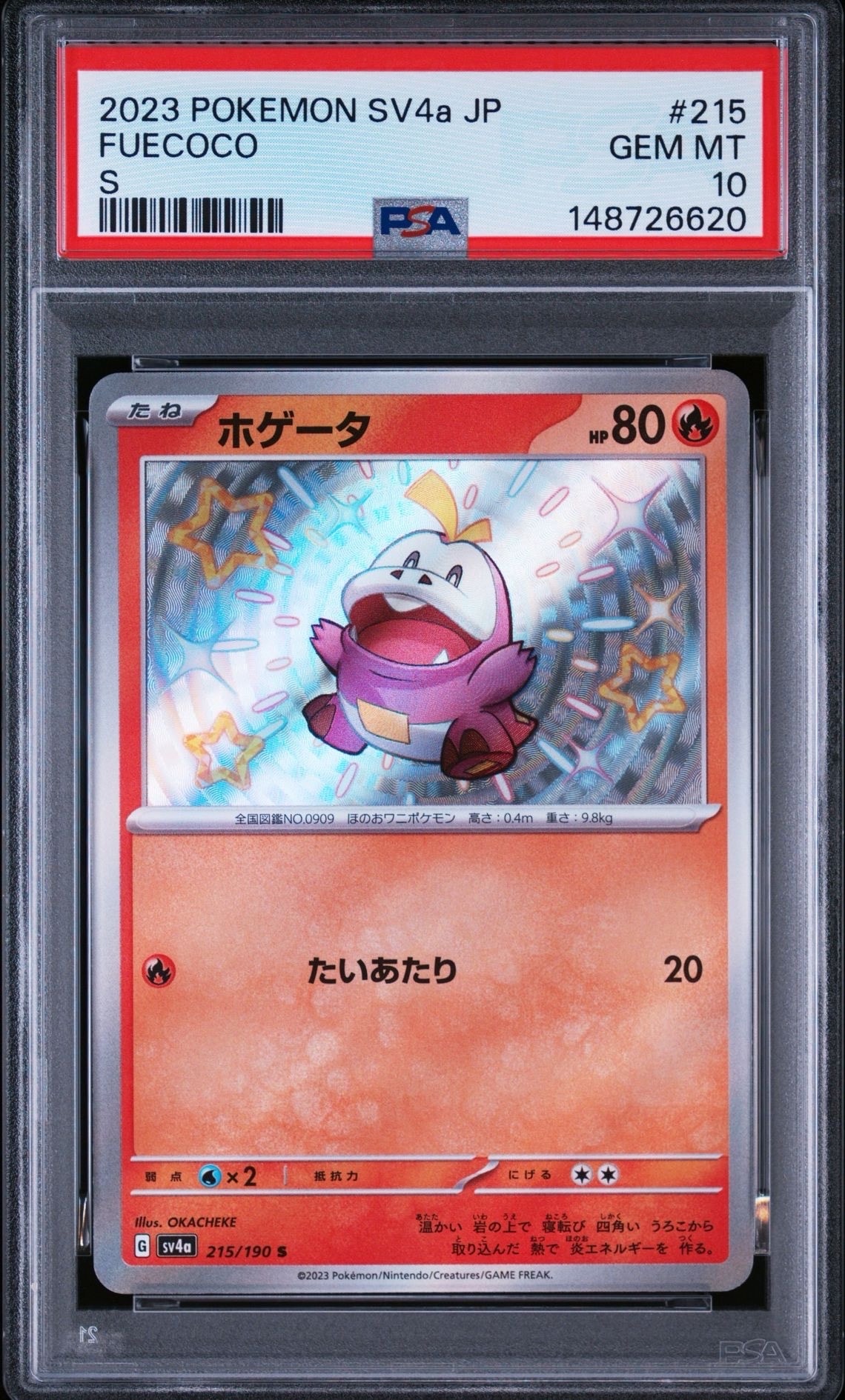 ポケパークのピカチュウ [PCG 004/009](ポケパークプレミアムファイル