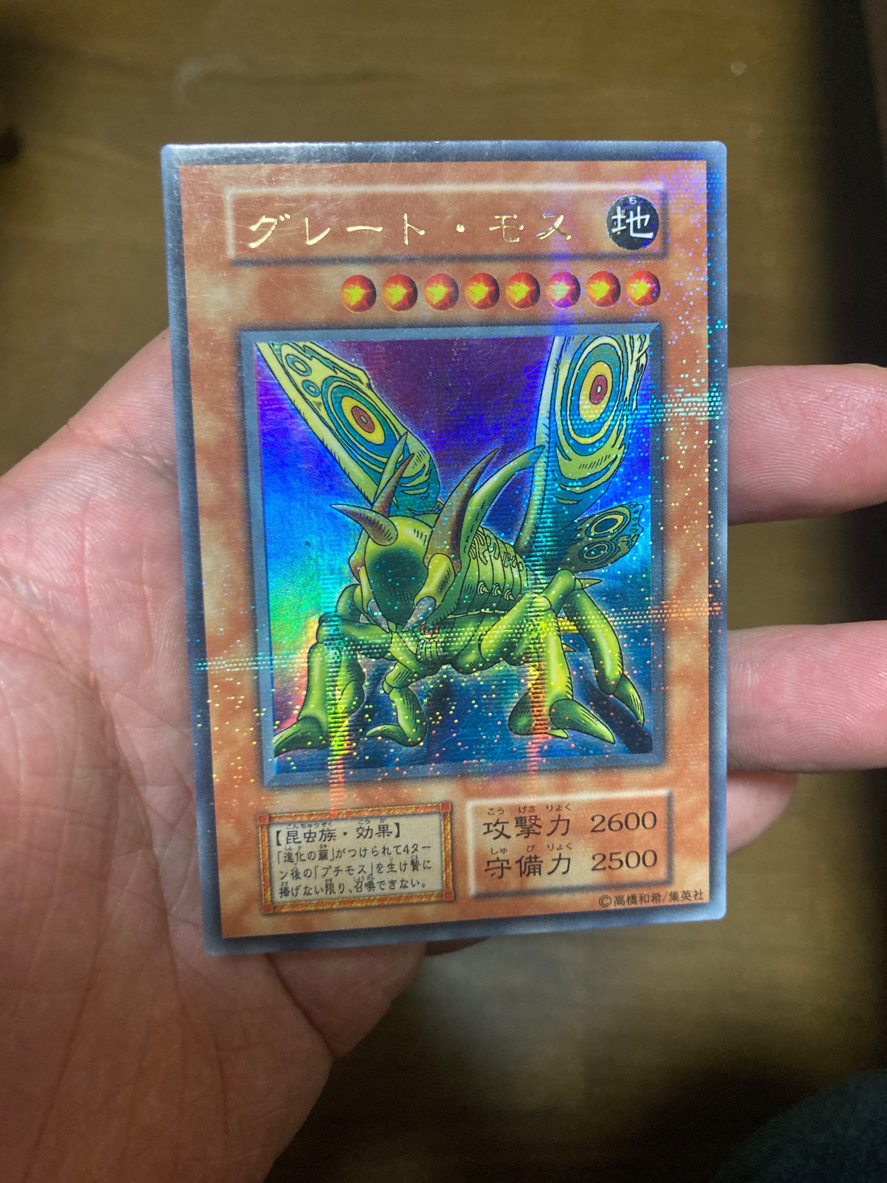 グレート・モス URP [グレート・モス-PA](Vol.6)