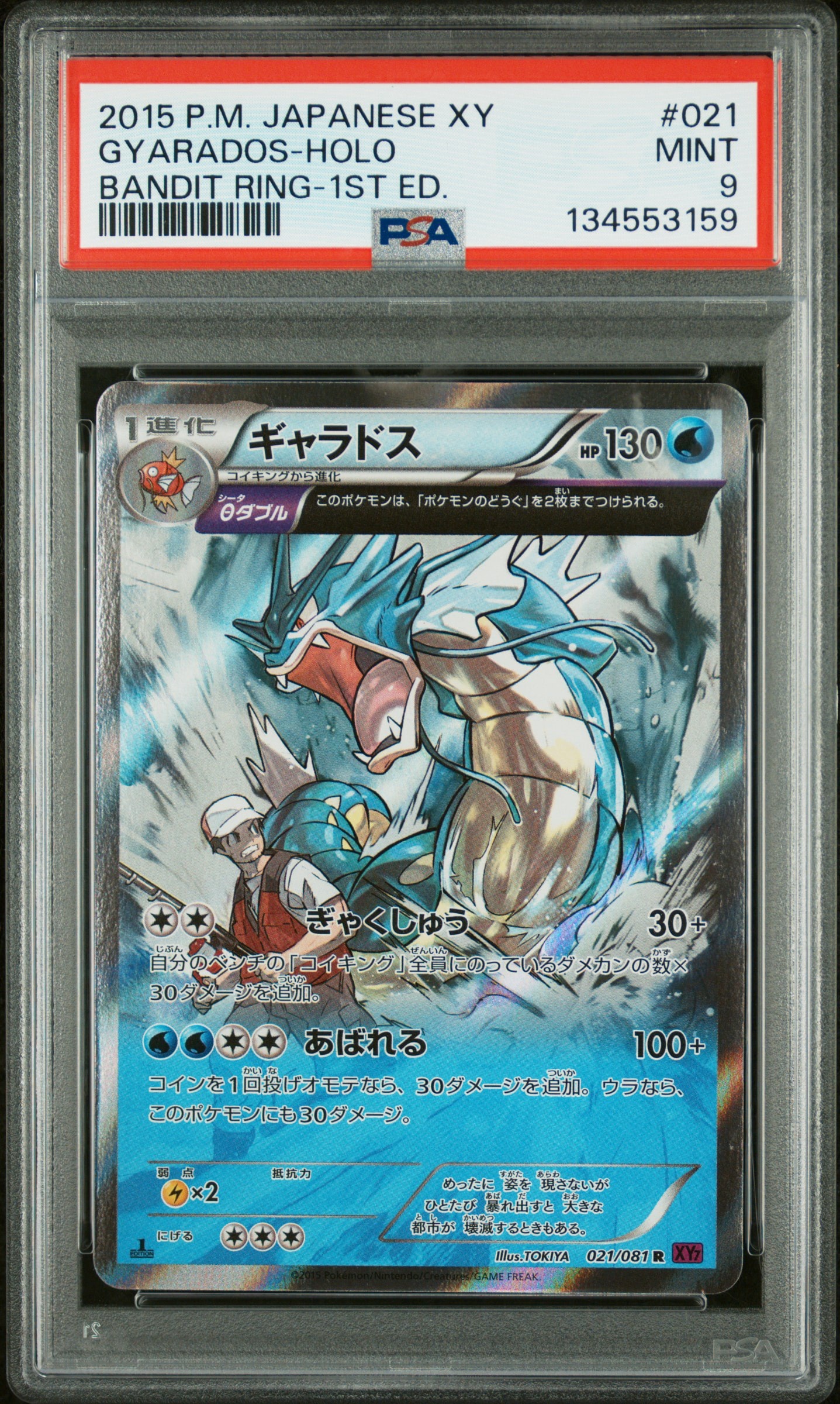ギャラドス R :1ED [XY7 021/081](拡張パック「バンデットリング」)