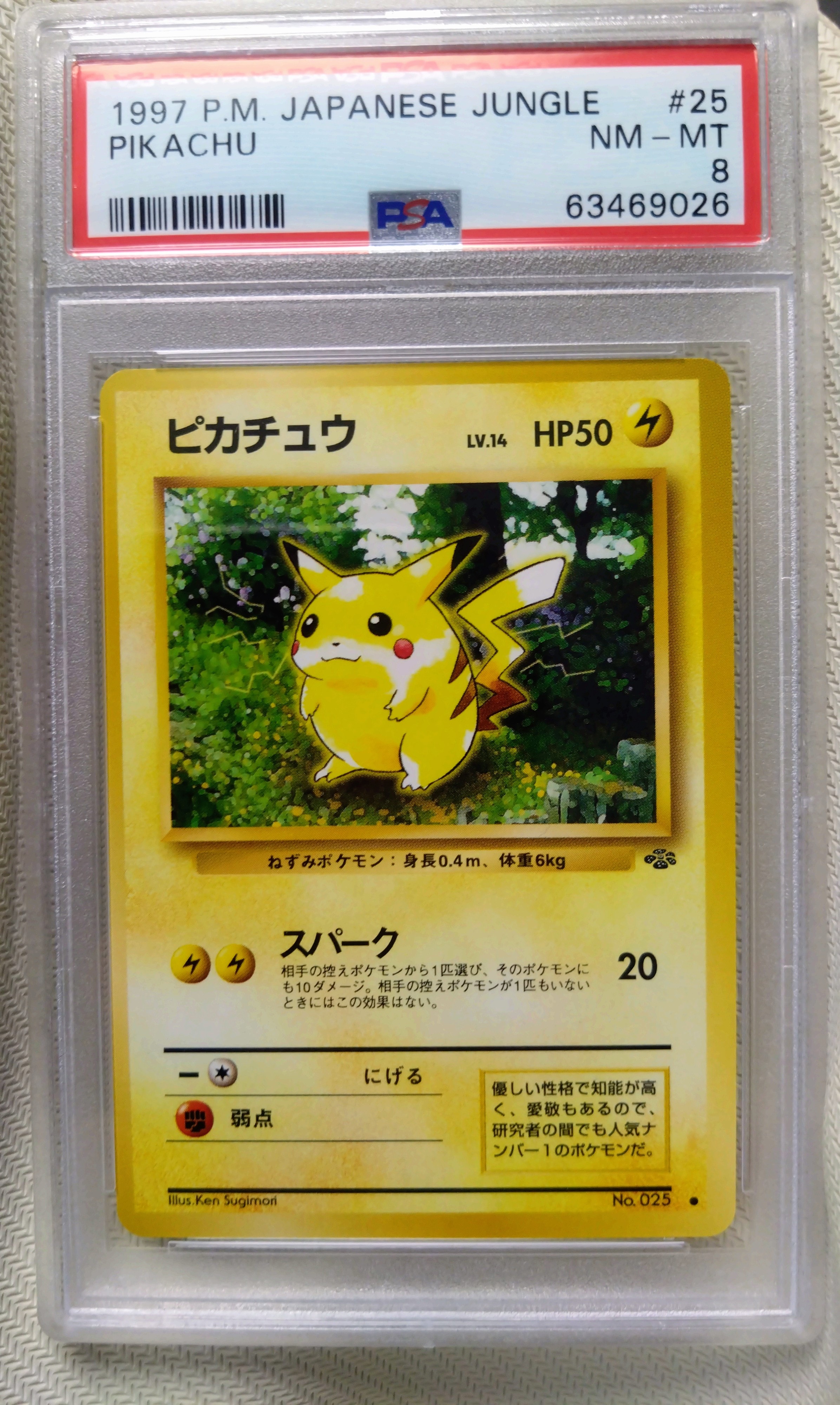 ピカチュウ ● : 旧裏 [PMCG2 No.025](拡張パック「ポケモンジャングル」)