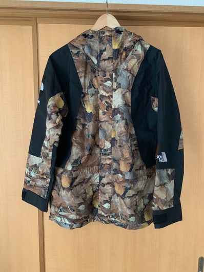 Supreme x The North Face Leaves Mountain Light Jacket "Leaves"