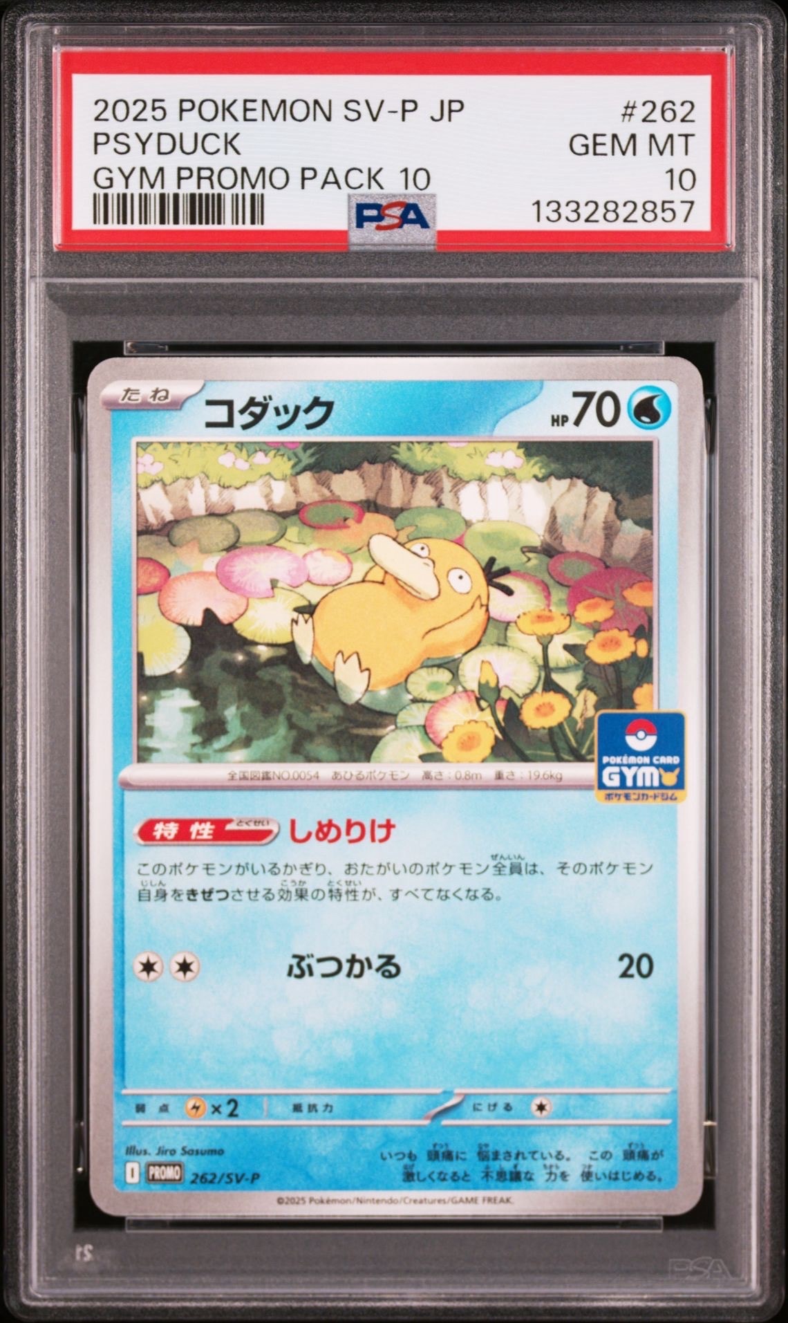 コダック P [SV-P 262](プロモカードパック「第10弾」)