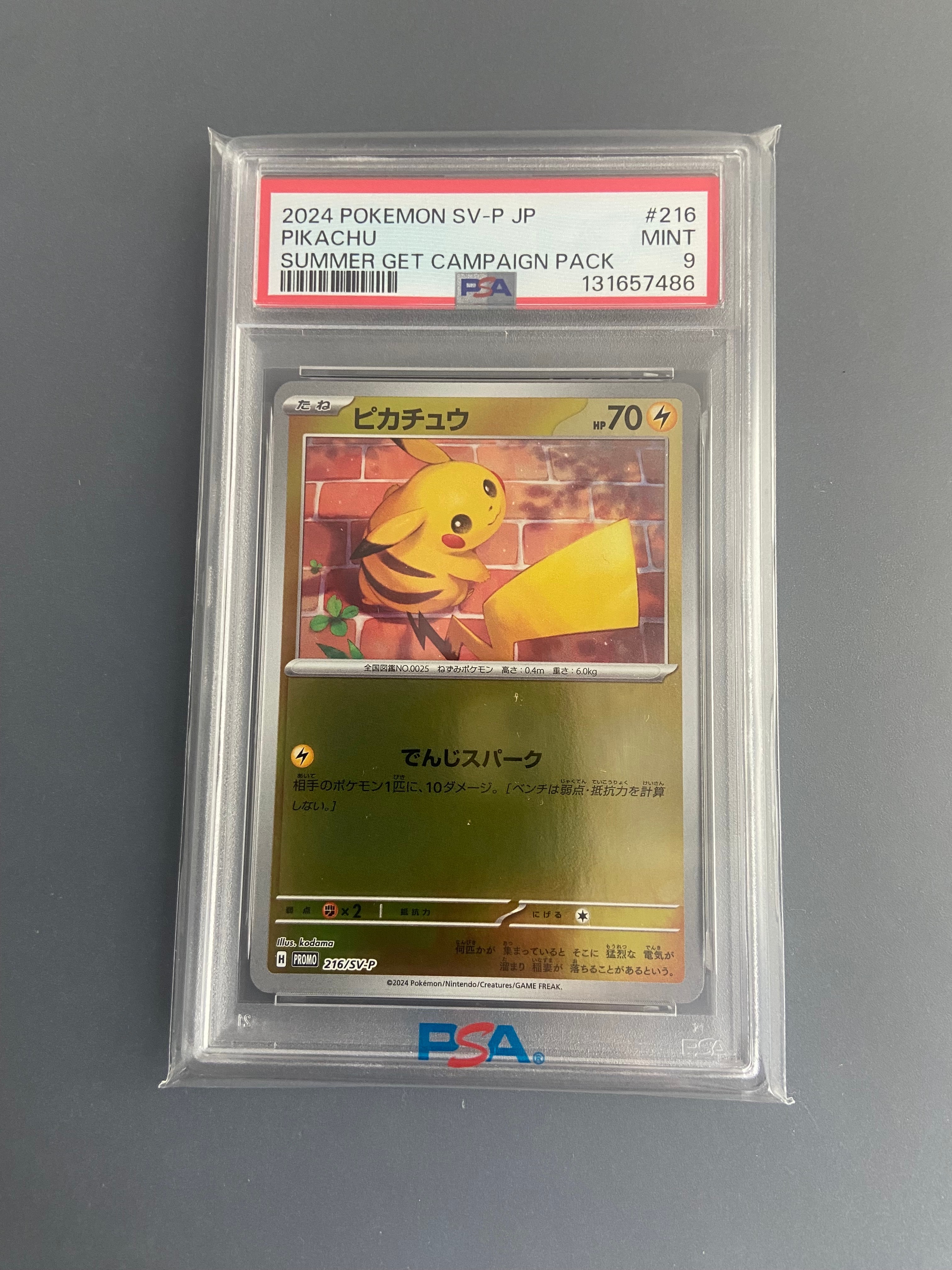 PSA10】ピカチュウ P [SV-P 216](プロモカードパック「ポケカの夏が