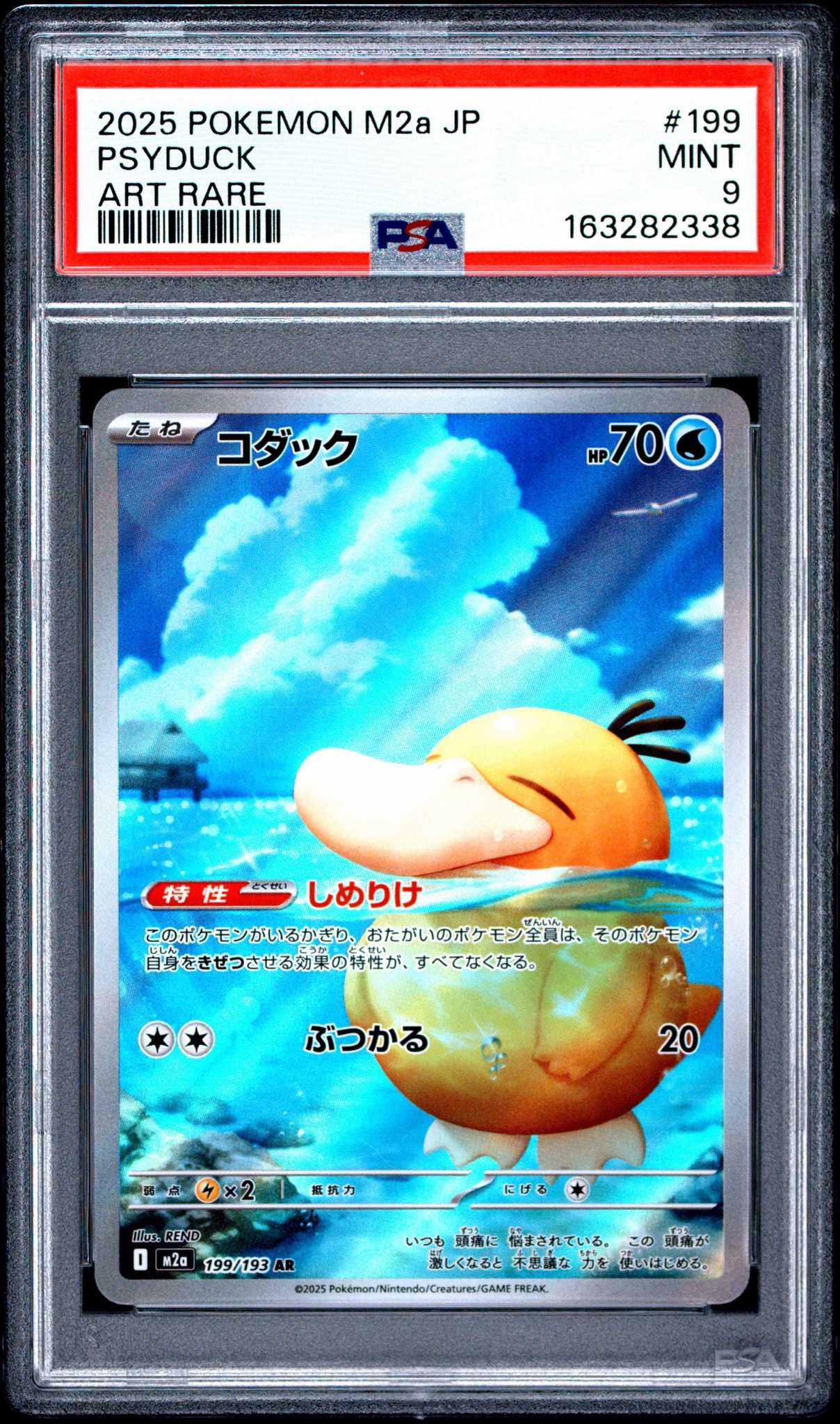 コダック AR [M2a 199/193](ハイクラスパック「MEGAドリームex」)