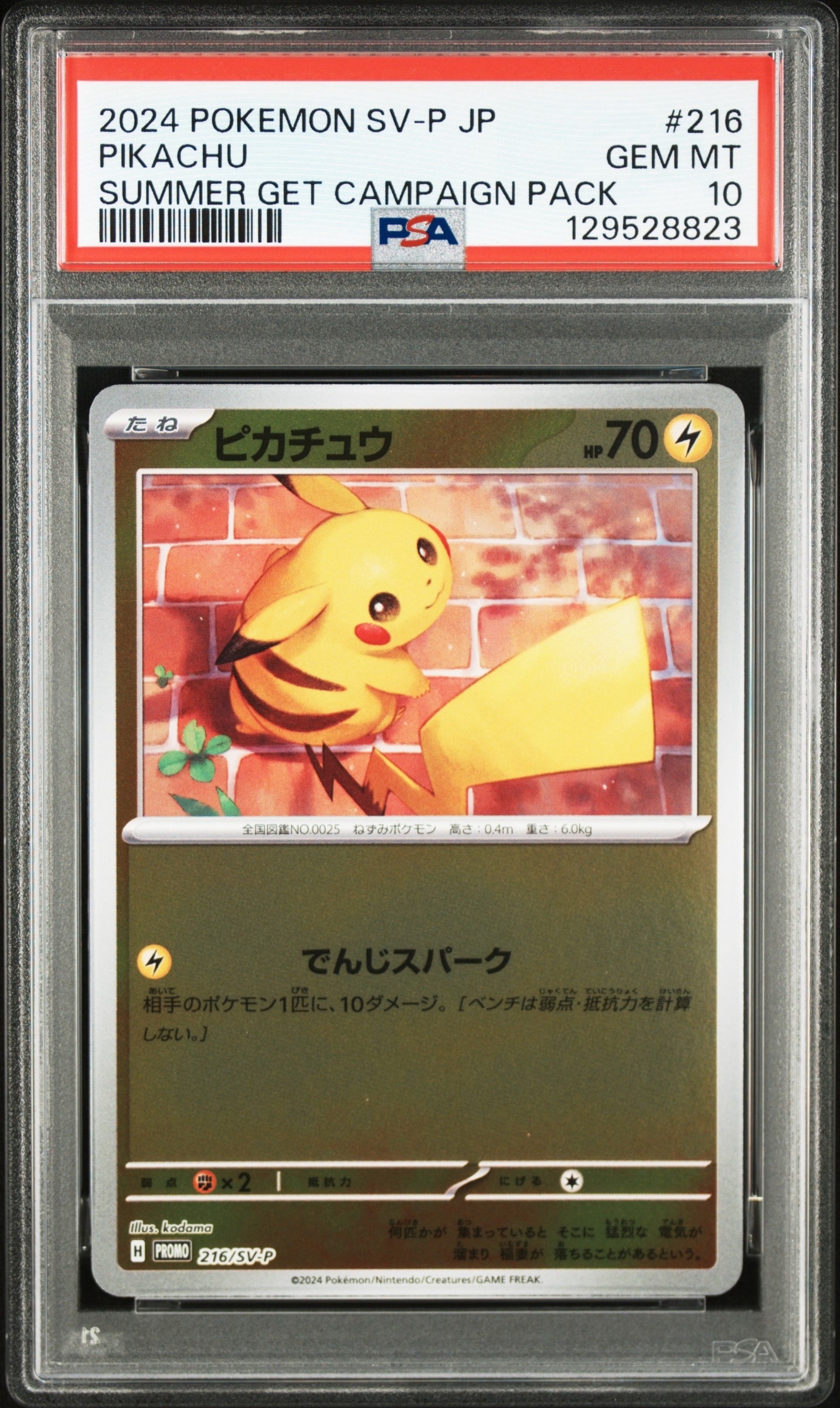 ピカチュウ P [SV-P 216](プロモカードパック「ポケカの夏がキタ!プロモカードGetキャンペーン!」)