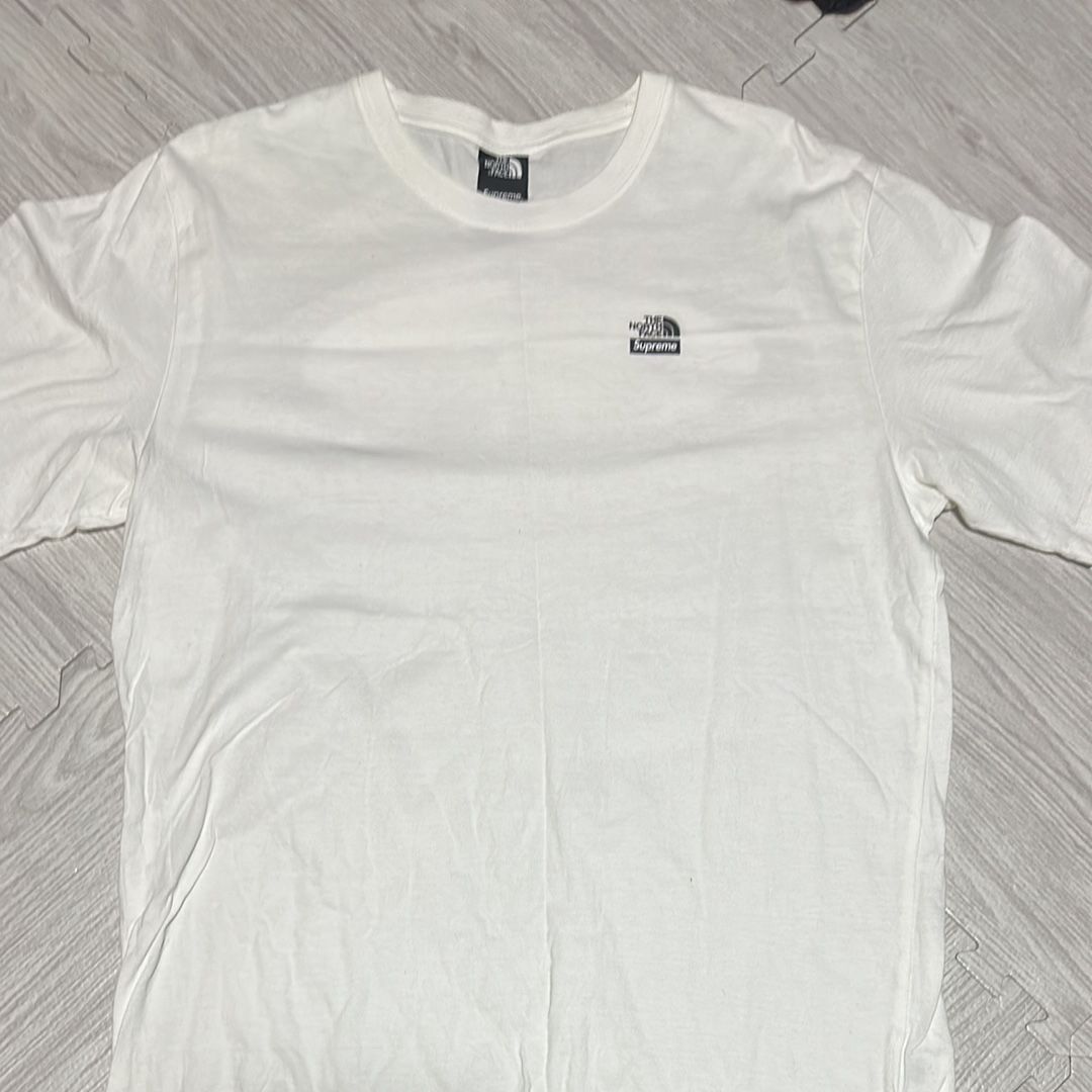 シュプリーム ザノースフェイス マウンテン Tシャツ "ホワイト"