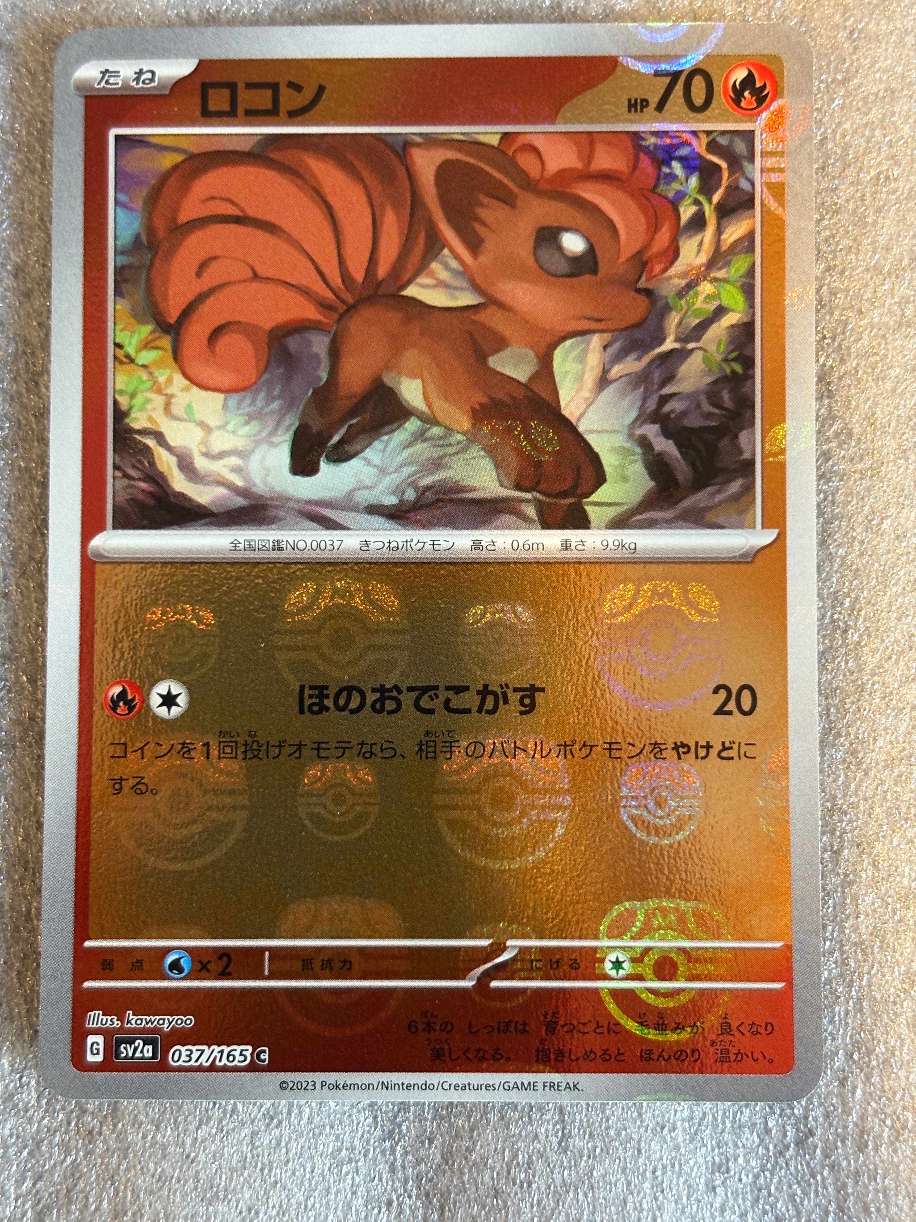 エリカの招待 SAR[SV2a 206/165](強化拡張パック「ポケモンカード151