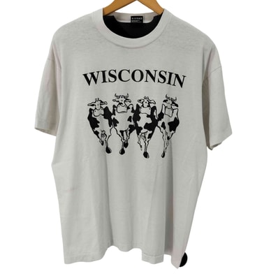 90S MADE IN USA シングルステッチ WISCONSIN 両面プリント S/S Tシャツ【1137924233616】