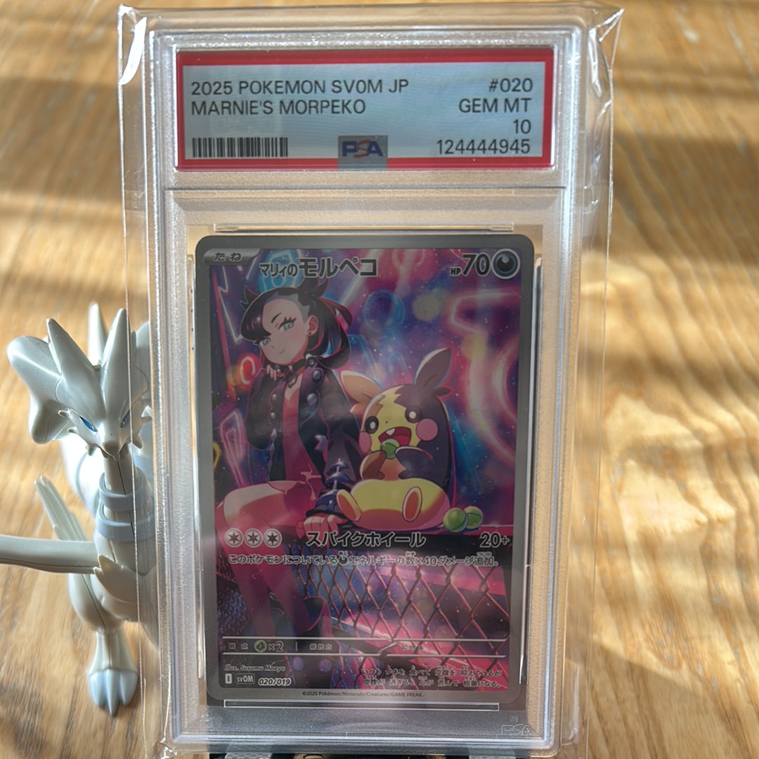 マリィのモルペコ [SVOM 020/019](スターターセットex「マリィのモルペコ＆オーロンゲex」)