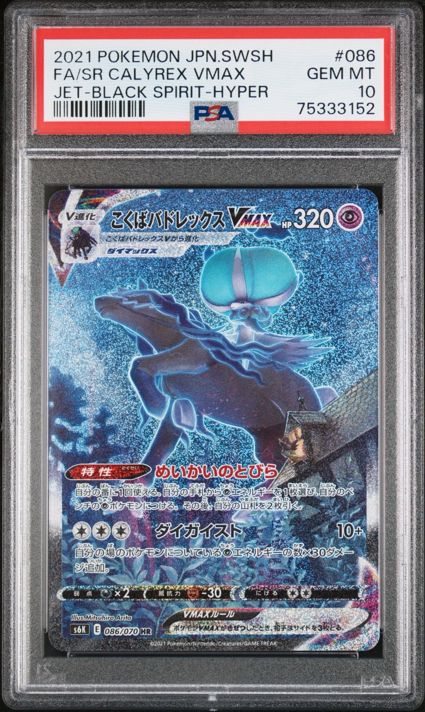 タケルライコex SAR [SV8a 222/187](ハイクラスパック「テラスタル