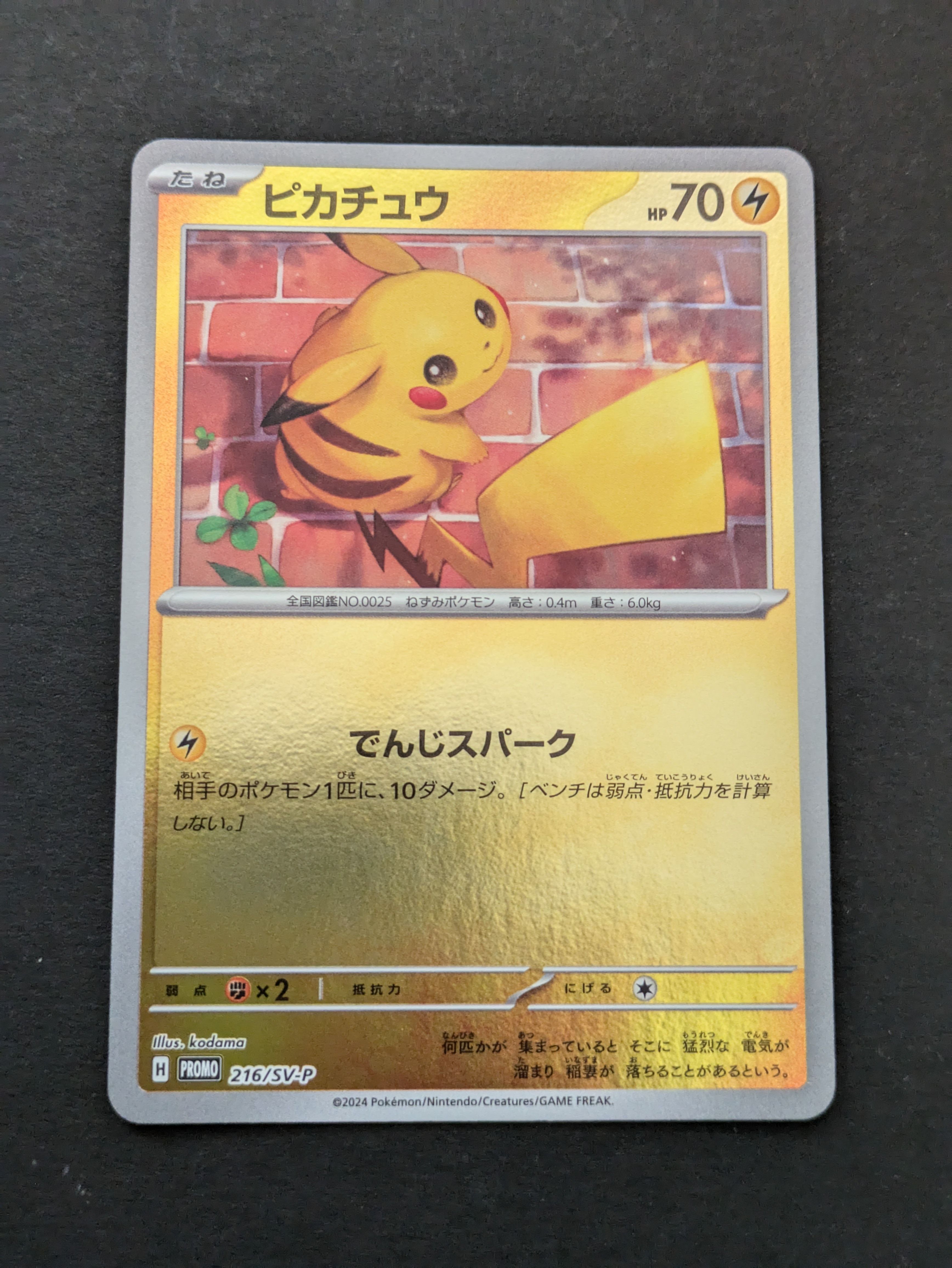 ピカチュウ P [SV-P 216](プロモカードパック「ポケカの夏がキタ!プロモカードGetキャンペーン!」)