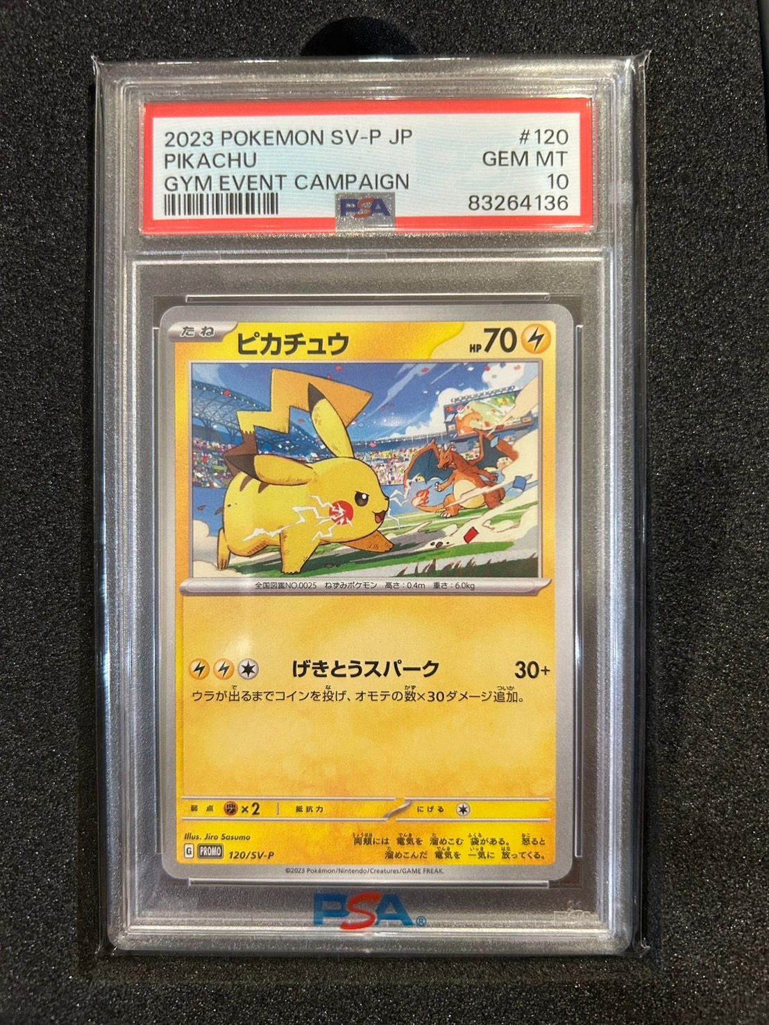 ピカチュウ: プロモ [SV-P 120](プロモーションカード「SV-P」)