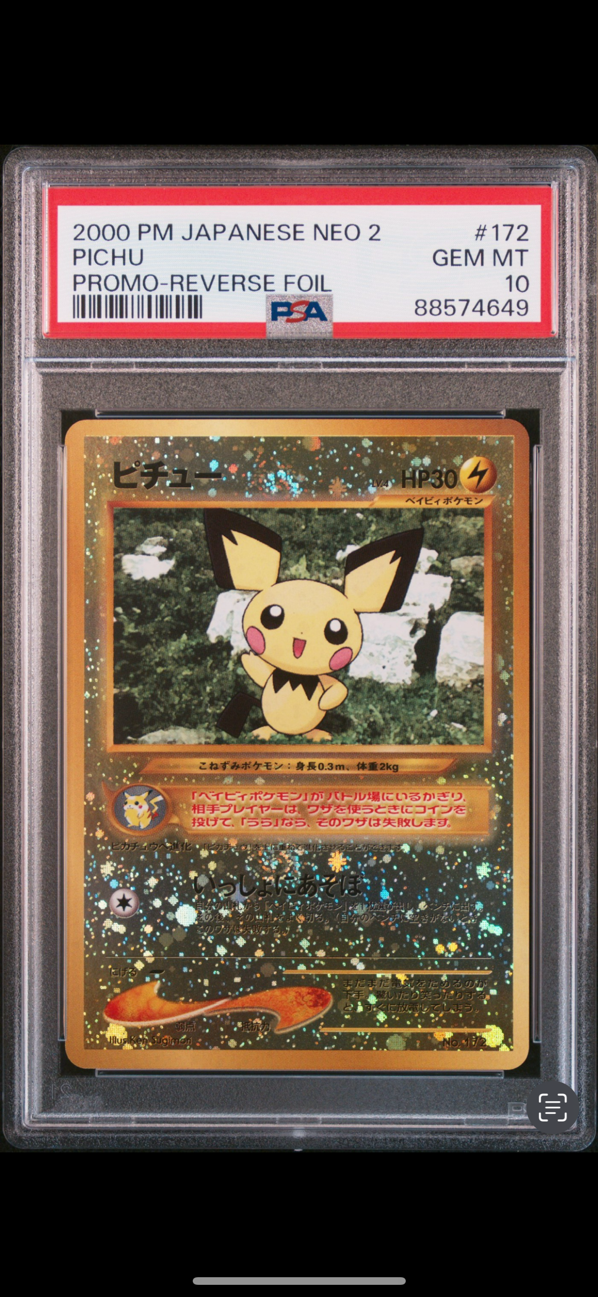 ピチュープレミアムファイル2: 旧裏[neoP2 No.172](プレミアムファイル2)