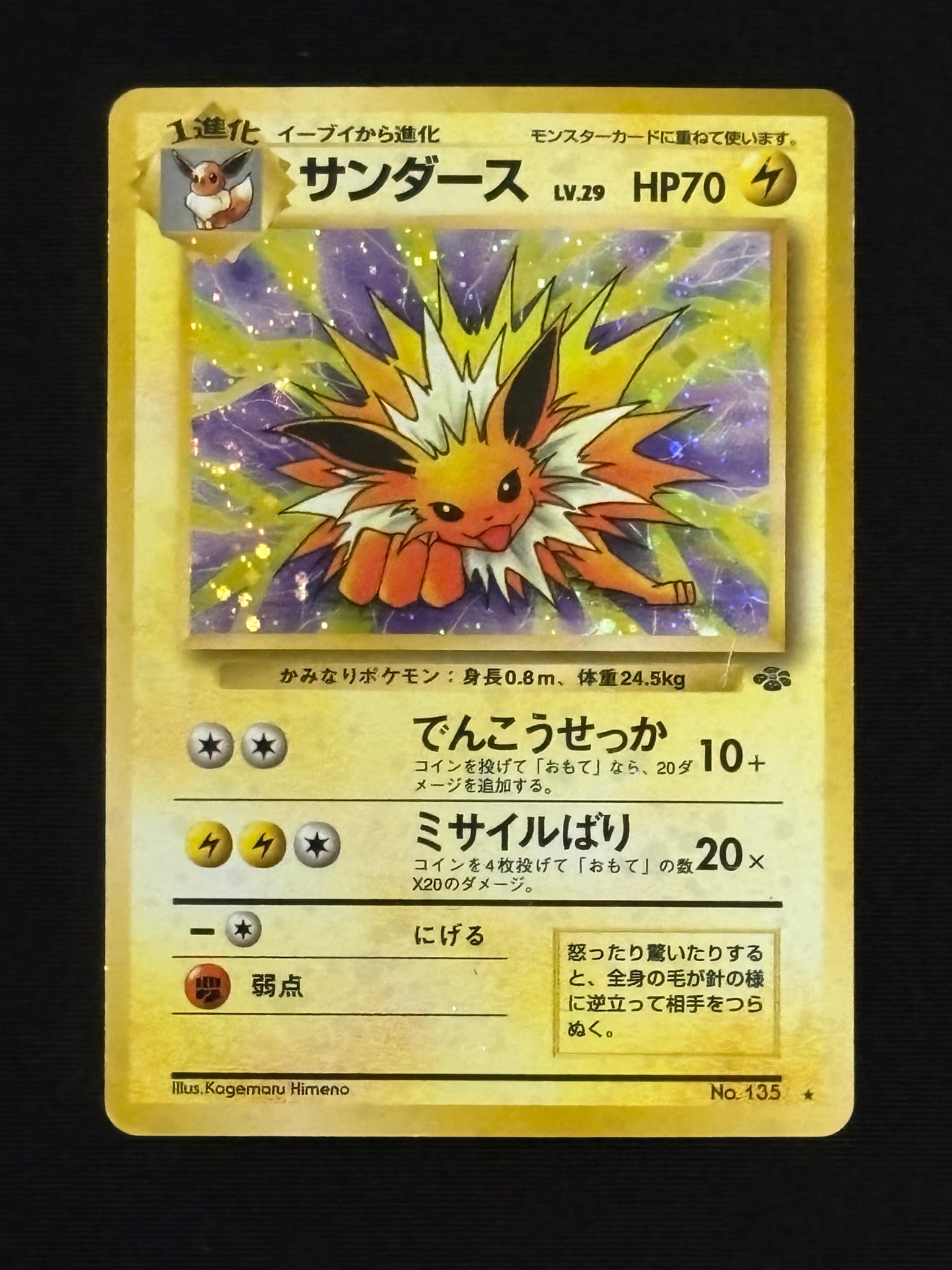 サンダース R: 旧裏 [PMCG2 No.135](拡張パック「ポケモンジャングル