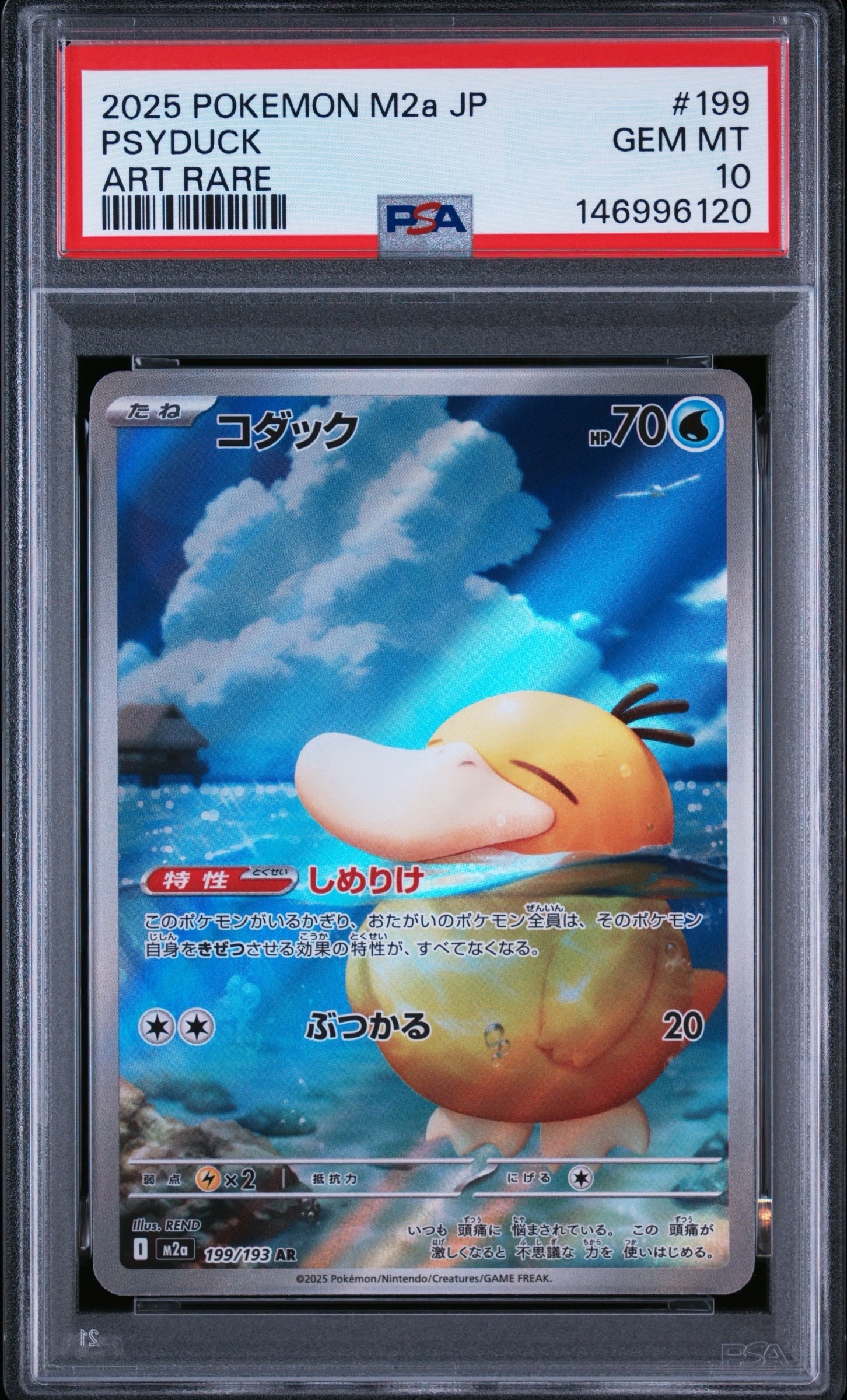 コダック AR [M2a 199/193](ハイクラスパック「MEGAドリームex」)