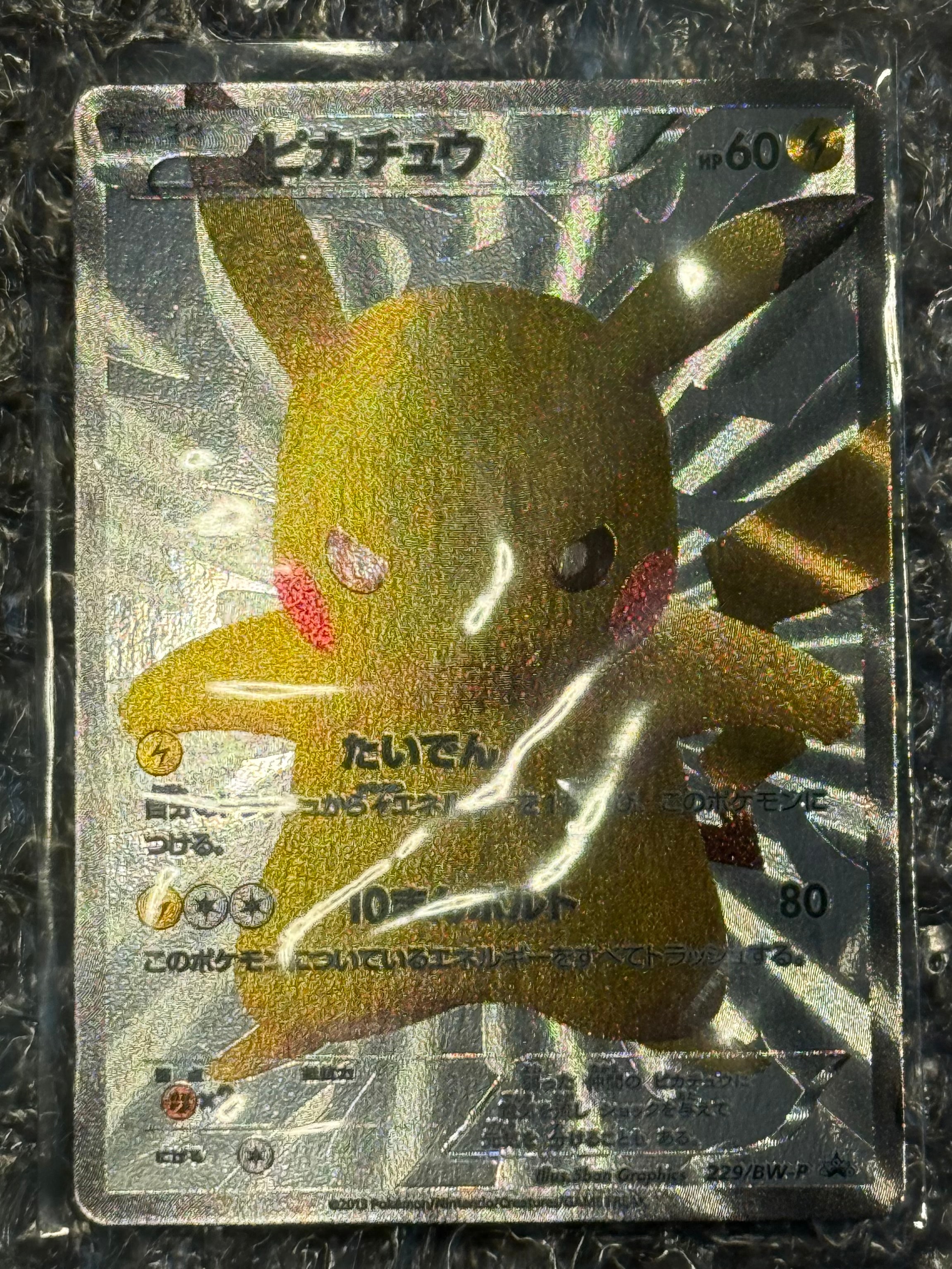 ピカチュウ P [BW-P 229/BW-P](プロモーションカード「ポケモン