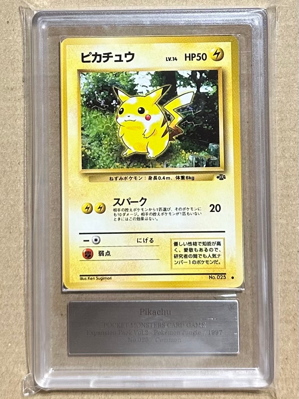 ピカチュウ ● : 旧裏 [PMCG2 No.025](拡張パック「ポケモンジャングル」)