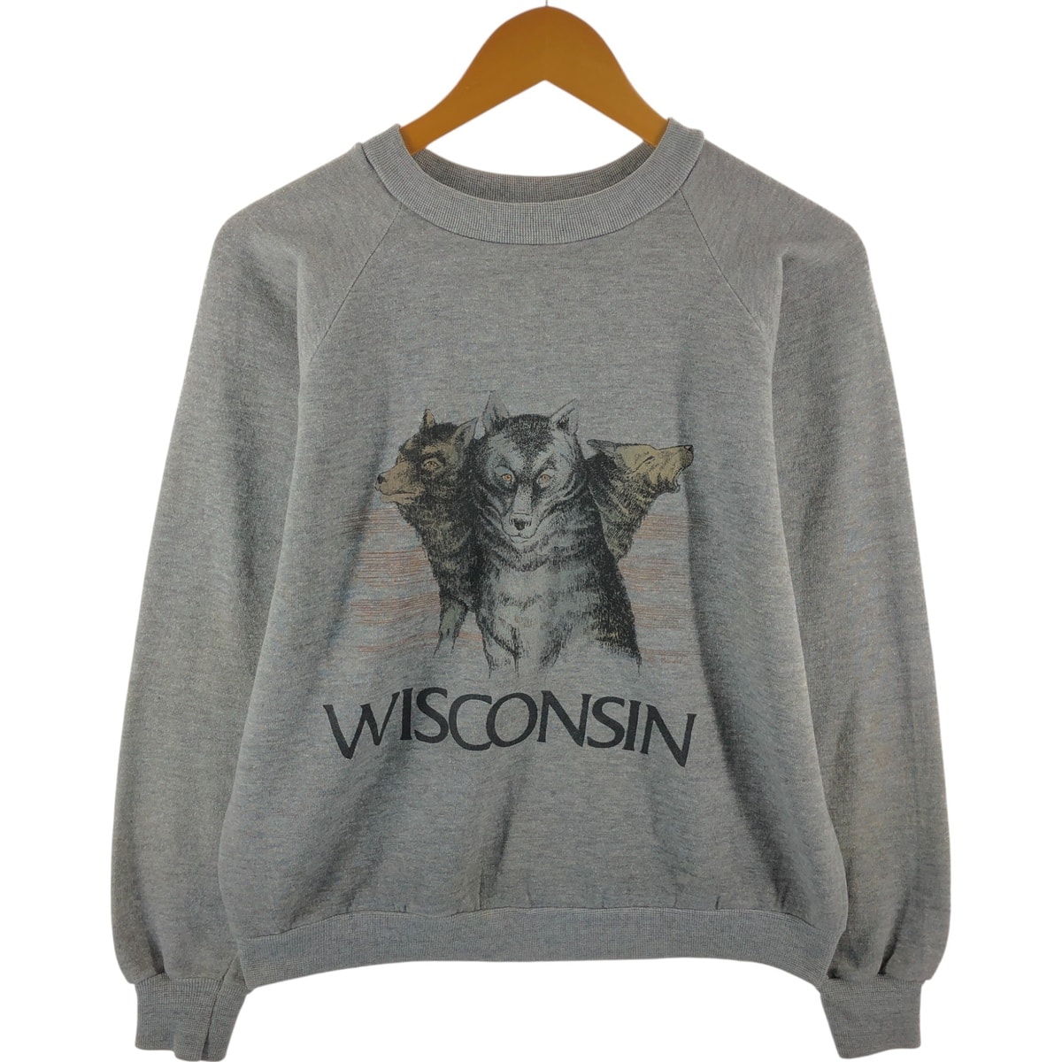 古着 70~80年代 ヘルスニット Healthknit オオカミ柄 アニマル スウェットシャツ トレーナー USA製 メンズS相当 ヴィンテージ/eaa515003