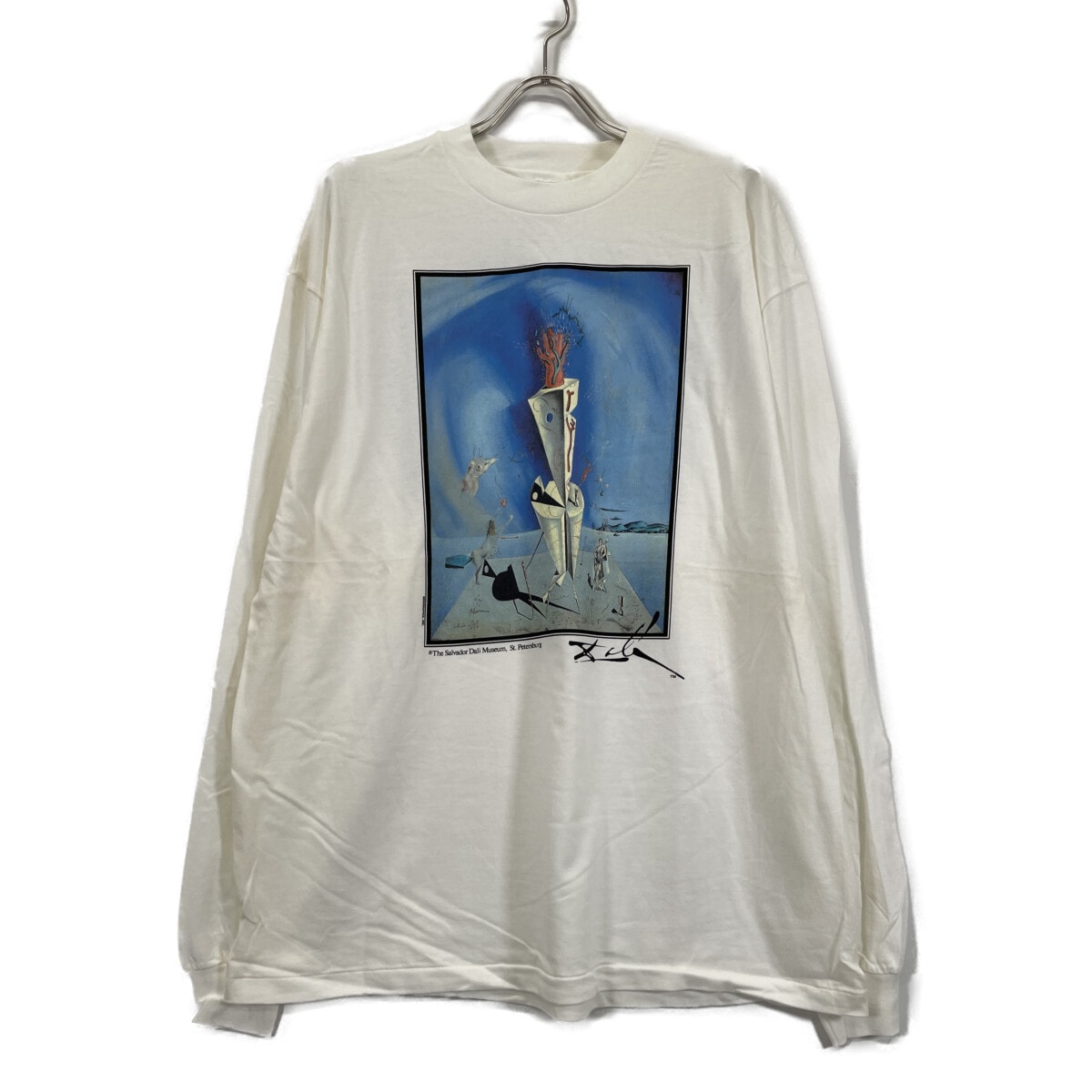 ヘインズ 90~00S サルバドールダリ 器官と手 ロングスリーブカットソー アートT XL
