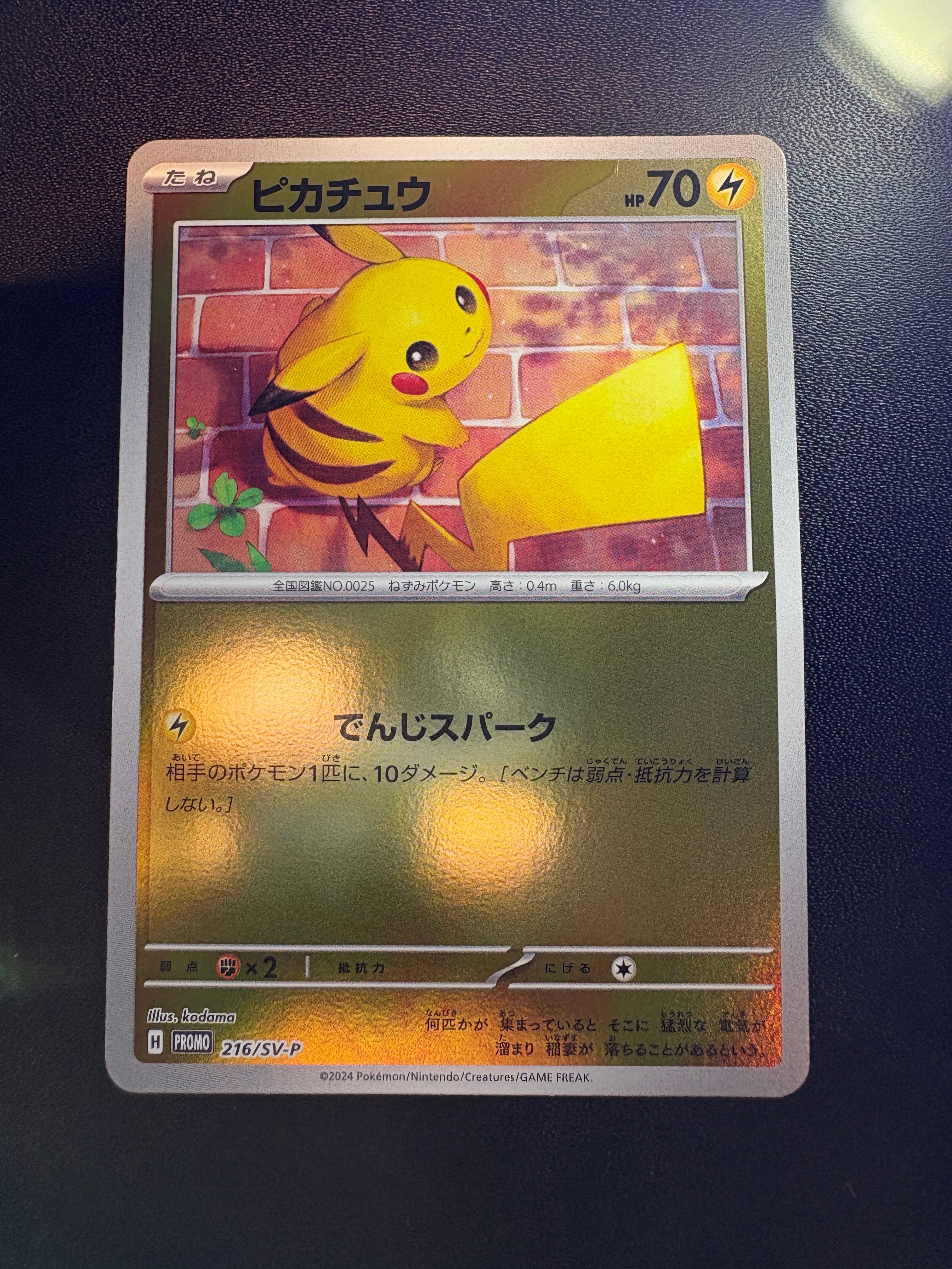PSA10】ピカチュウ P [SV-P 216](プロモカードパック「ポケカの夏が