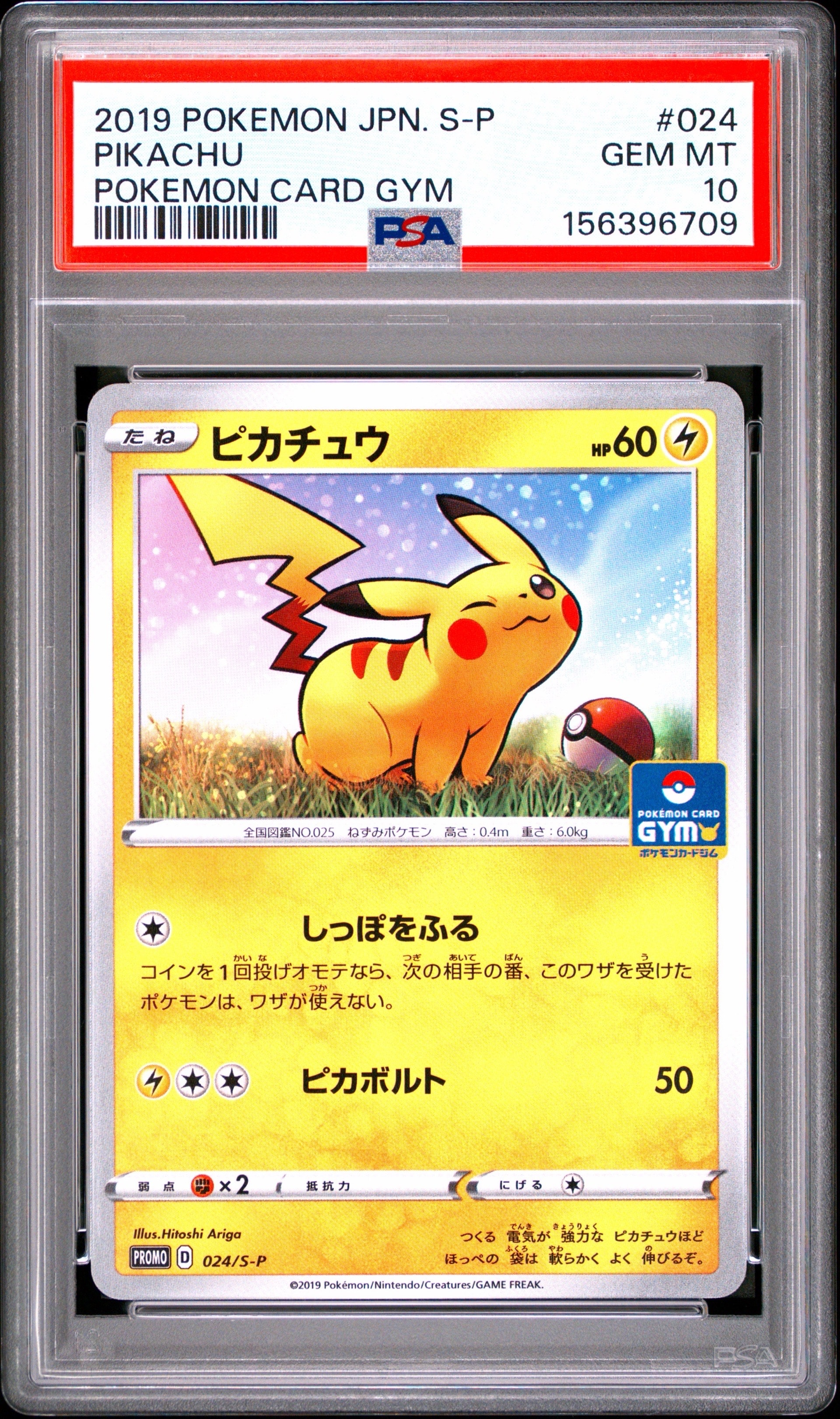ピカチュウ: プロモ P [S-P 024](ポケモンカードゲーム ソード&シールド 「プロモカードパック 第1弾」)