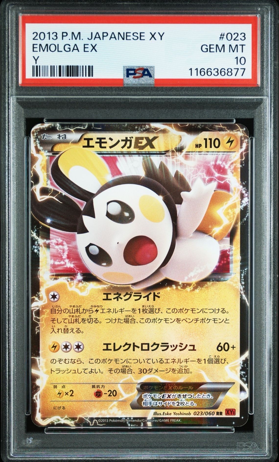 PSA10】エモンガEX RR [XY1 023/060](拡張パック「コレクションY